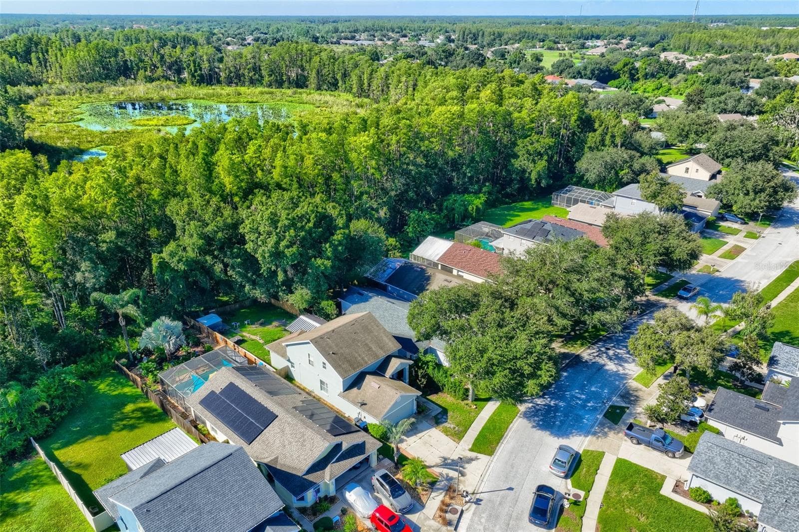 Single Family Residence at 7902 CITRUS BLOSSOM DR, LAND O LAKES, photo 27 of 31