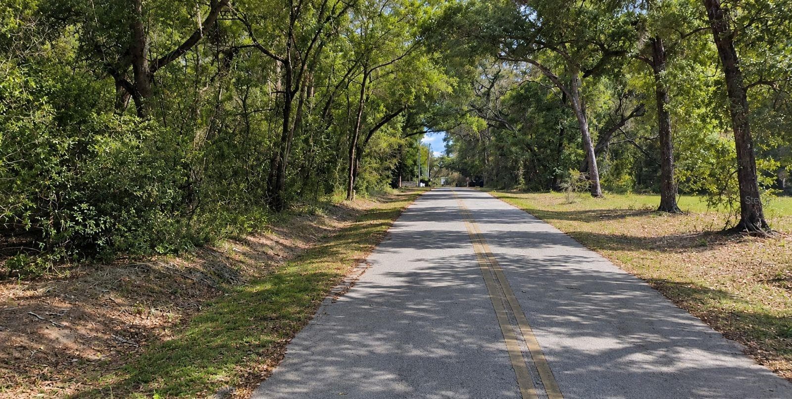 Land at SE 171ST CT, OCKLAWAHA, photo 4 of 4