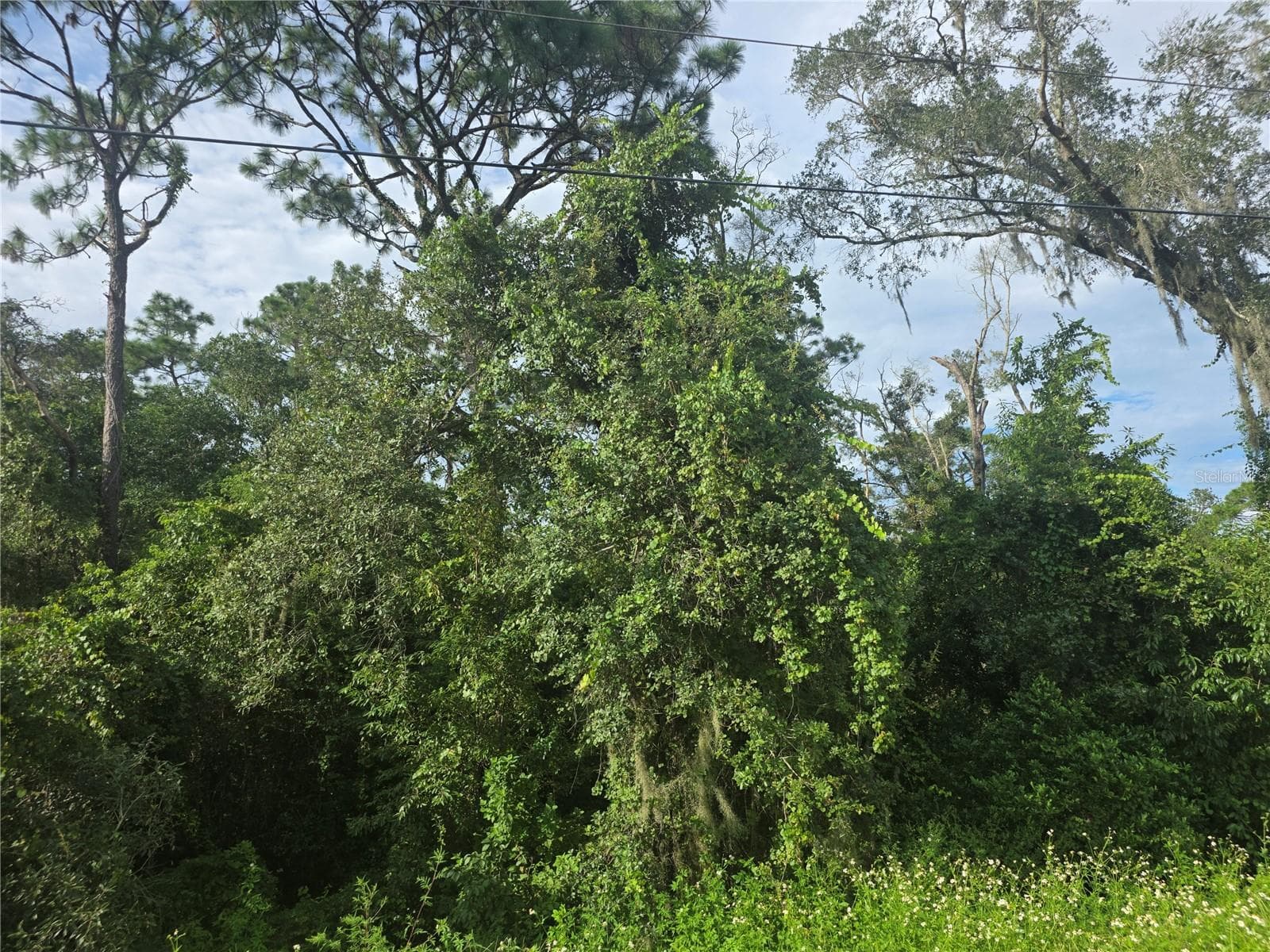 Land at 158-A CORTEZ BLVD., DADE CITY, photo 5 of 18