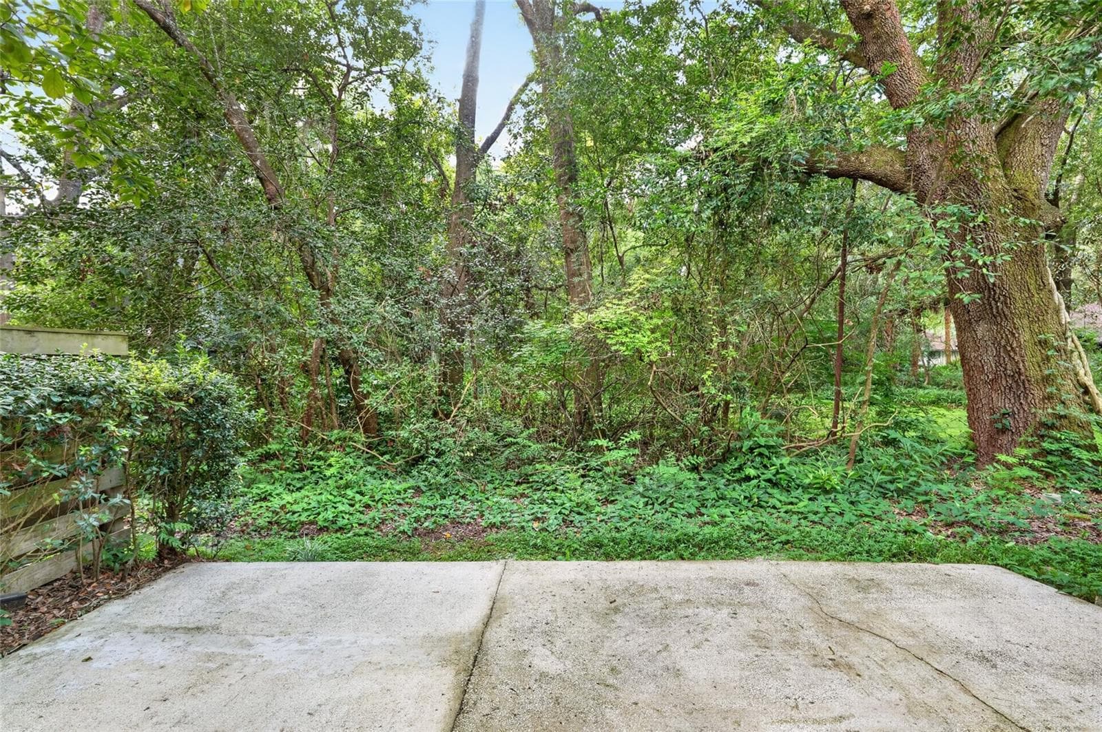 view from back patio - 4411 BLACK FOREST WAY, GAINESVILLE