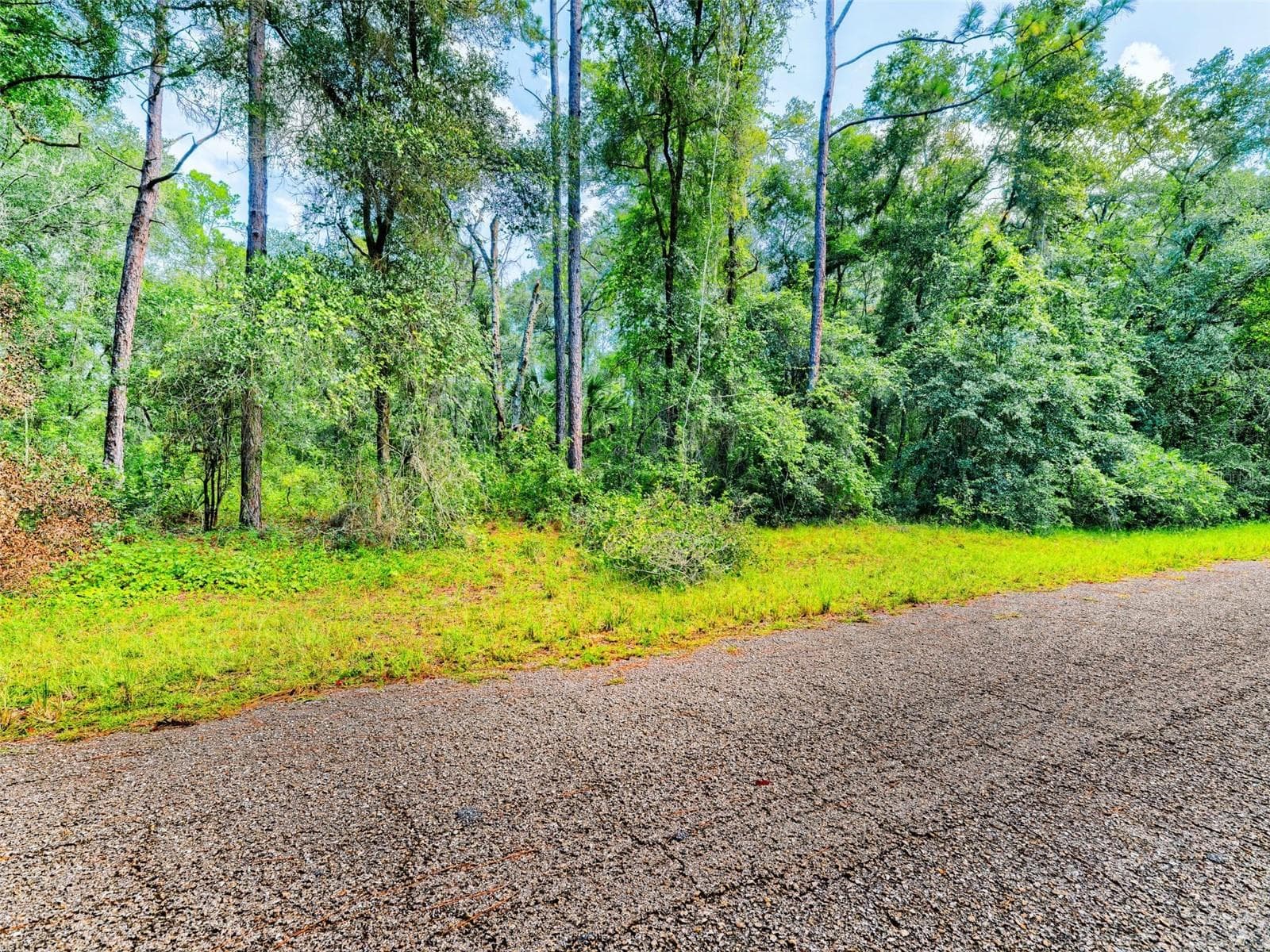Land at 1135 E ODIN DR, CITRUS SPRINGS, photo 2 of 14