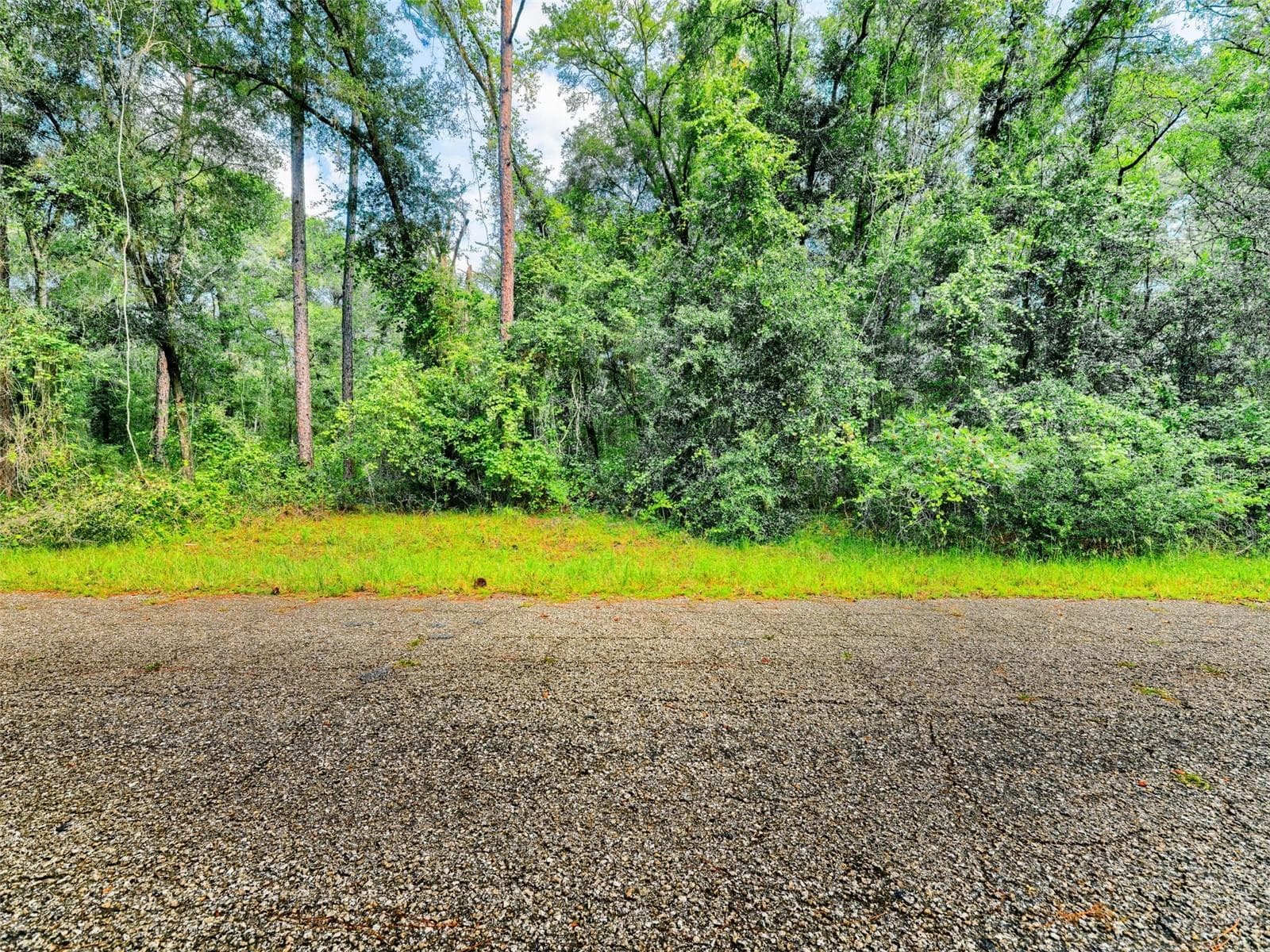 Land at 1135 E ODIN DR, CITRUS SPRINGS, photo 4 of 14