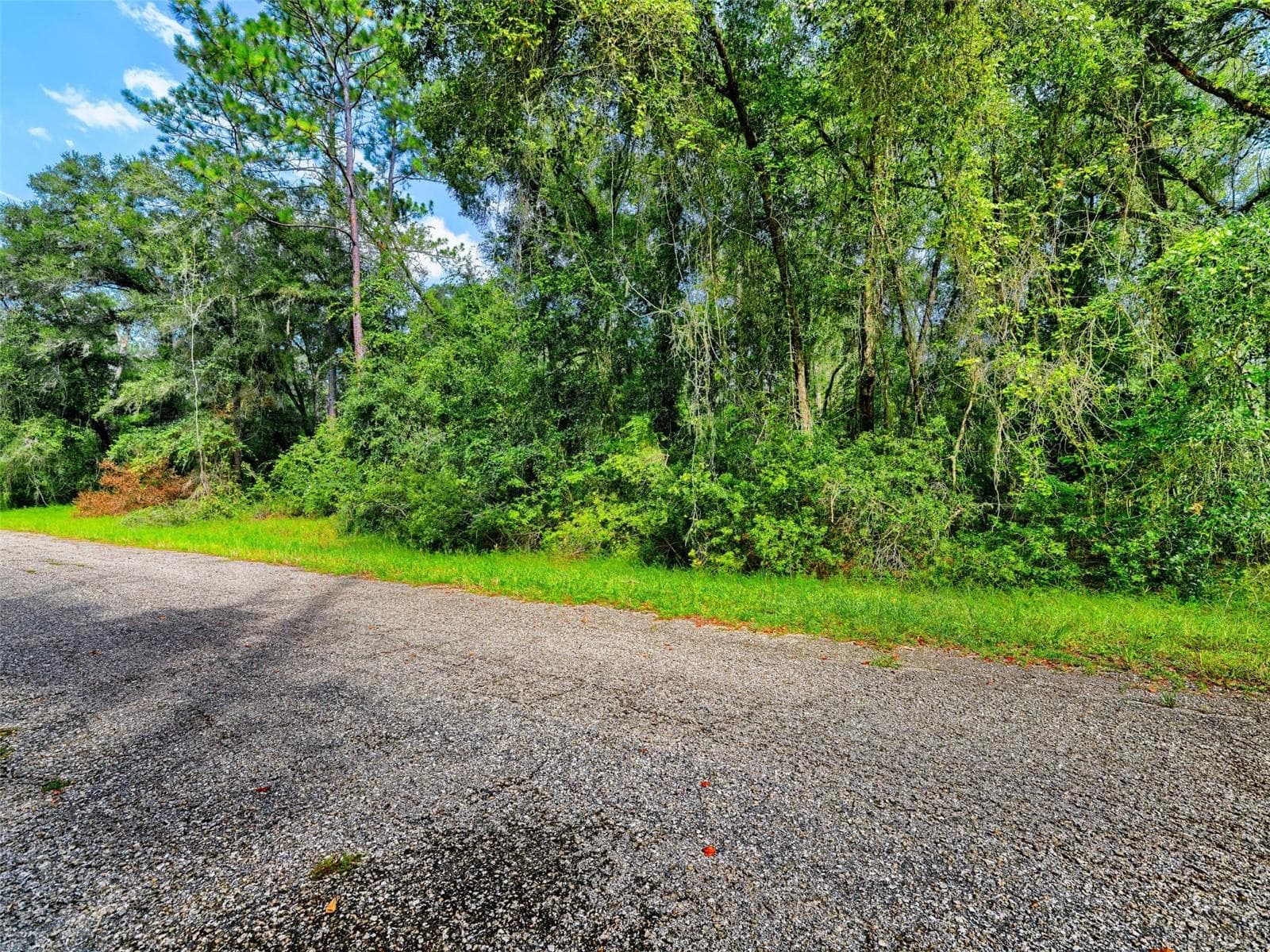 Land at 1135 E ODIN DR, CITRUS SPRINGS, photo 6 of 14
