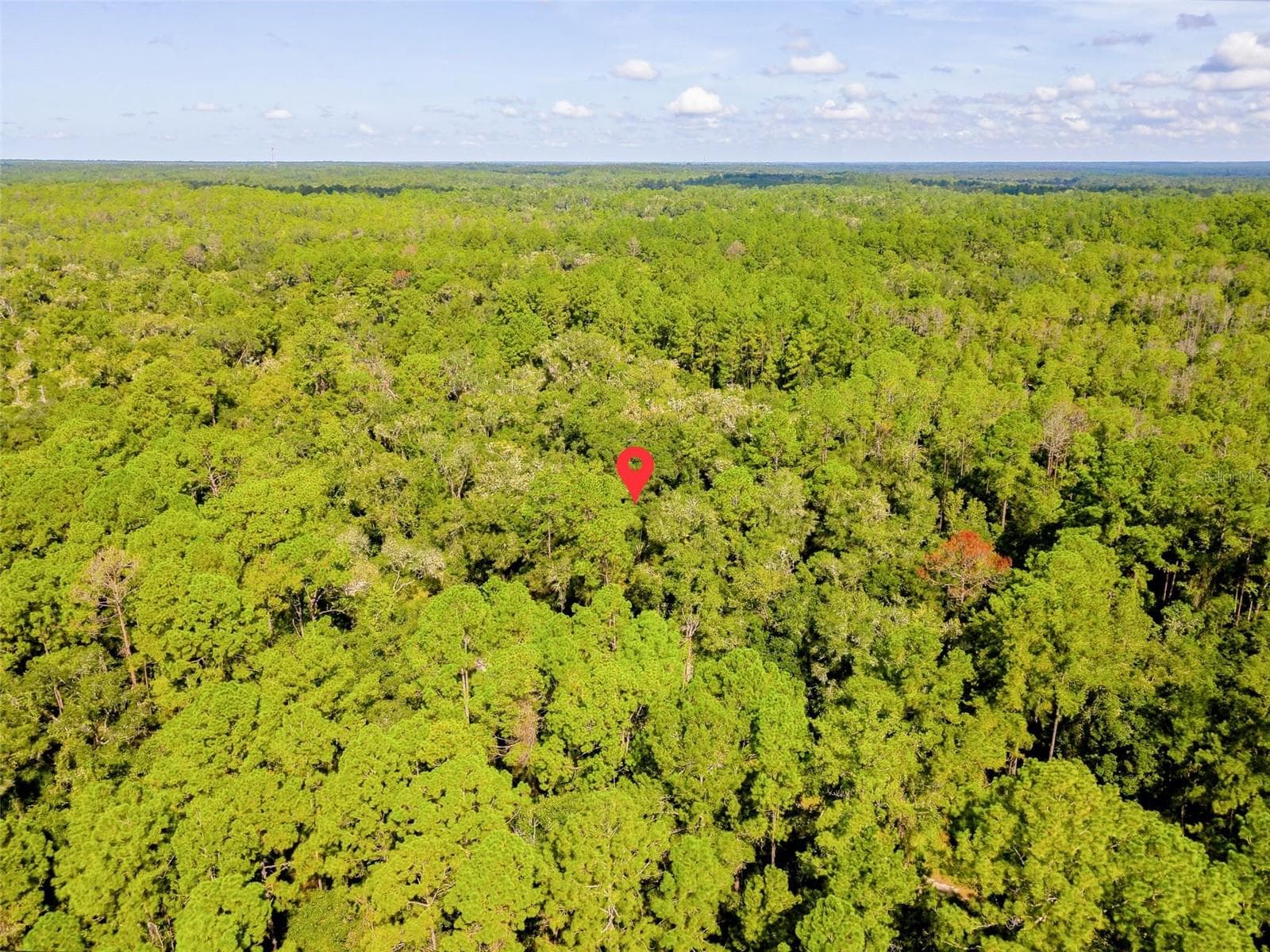 Land at 1135 E ODIN DR, CITRUS SPRINGS, photo 8 of 14
