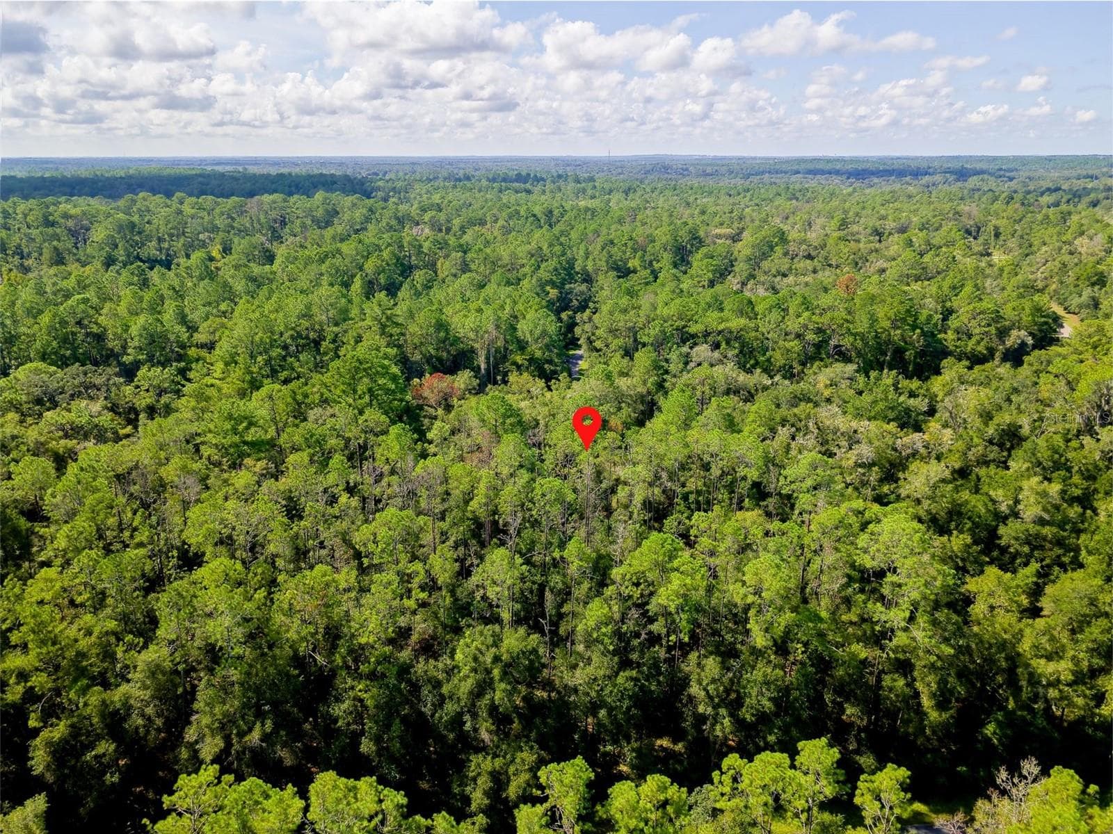 Land at 1135 E ODIN DR, CITRUS SPRINGS, photo 9 of 14