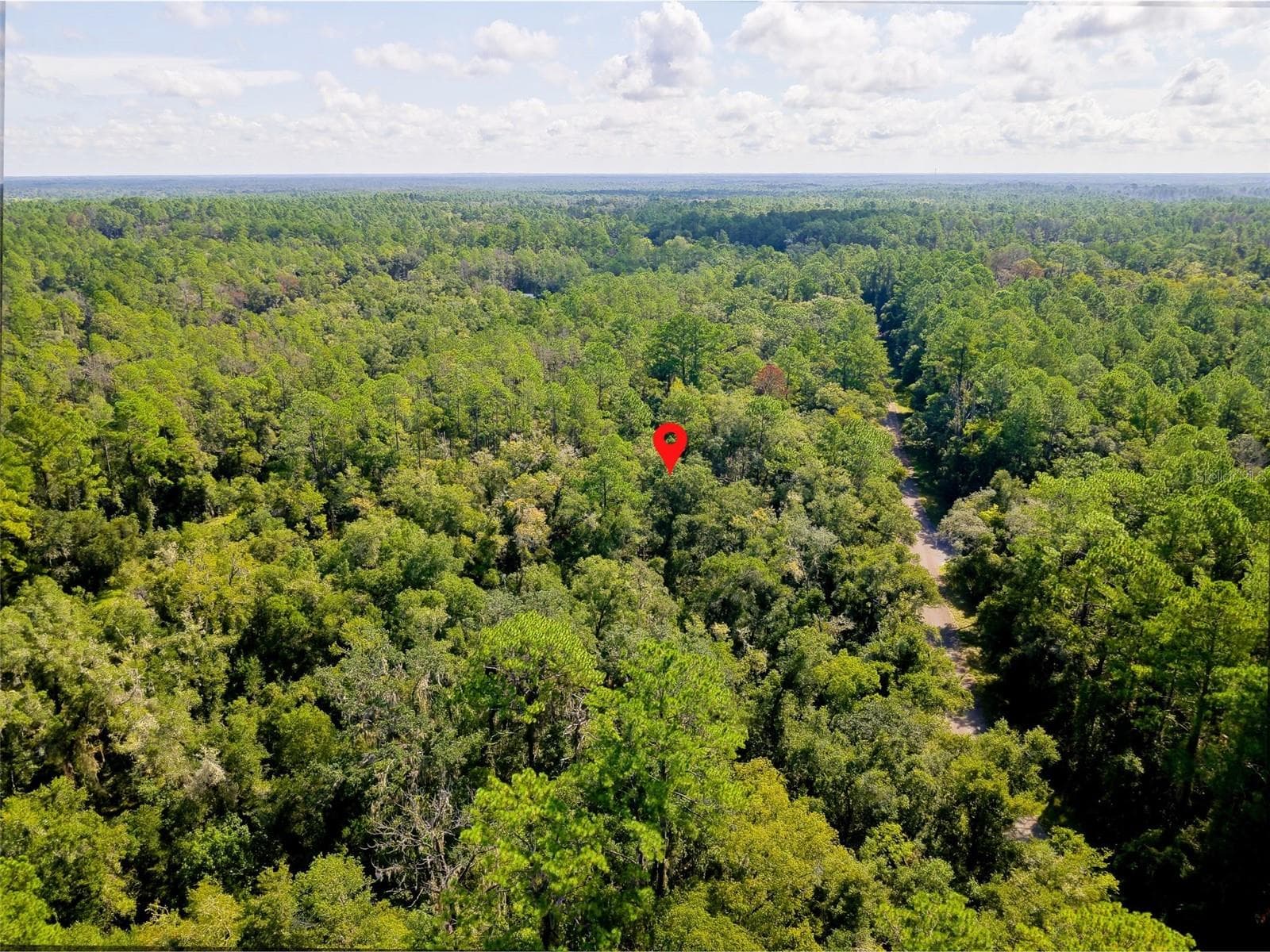 Land at 1135 E ODIN DR, CITRUS SPRINGS, photo 11 of 14