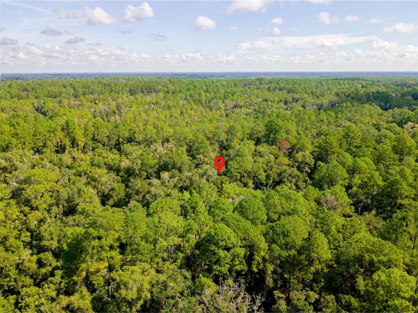 Land at 1135 E ODIN DR, CITRUS SPRINGS, photo 13 of 14