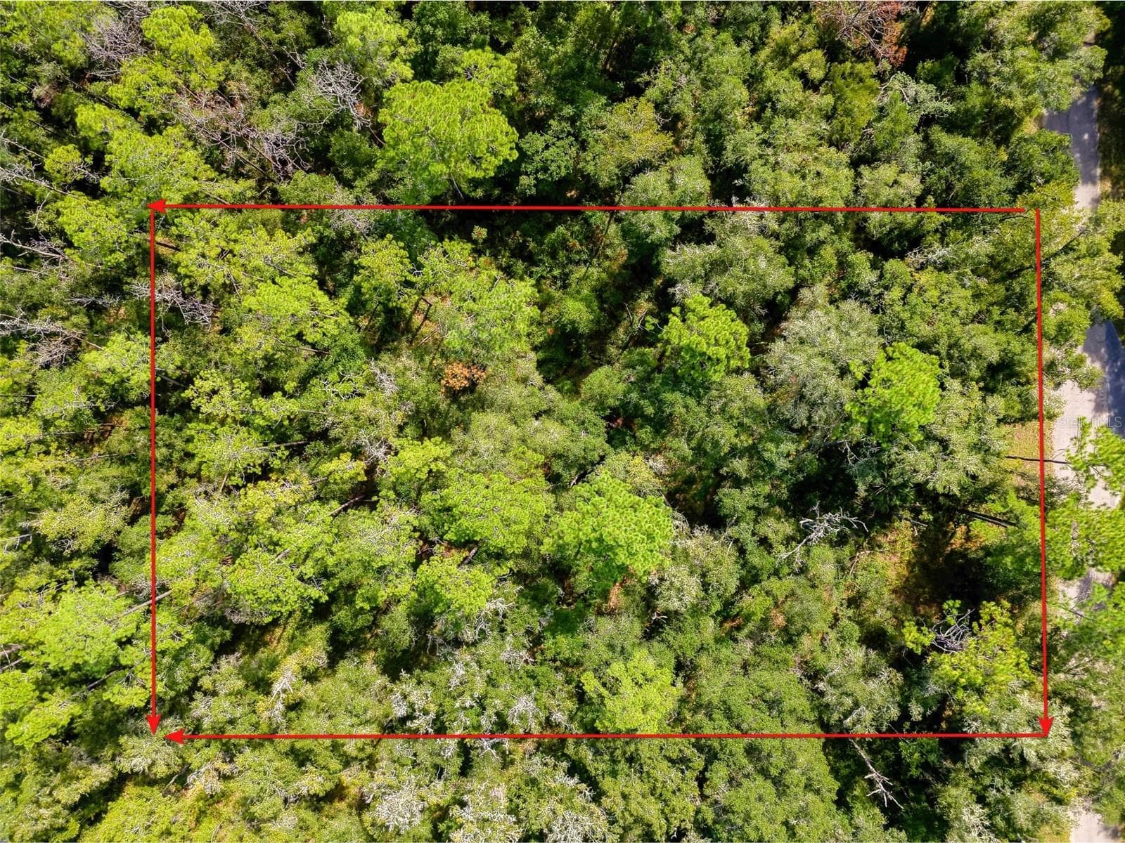Land at 1135 E ODIN DR, CITRUS SPRINGS, photo 14 of 14