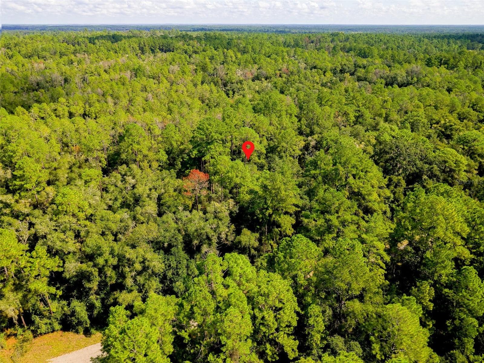 Land at 1163 E ODIN DR, CITRUS SPRINGS, photo 2 of 14