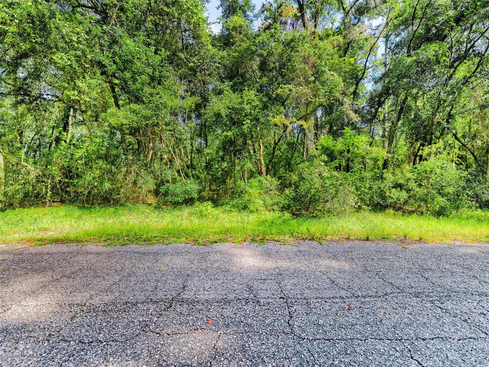 Land at 1163 E ODIN DR, CITRUS SPRINGS, photo 13 of 14