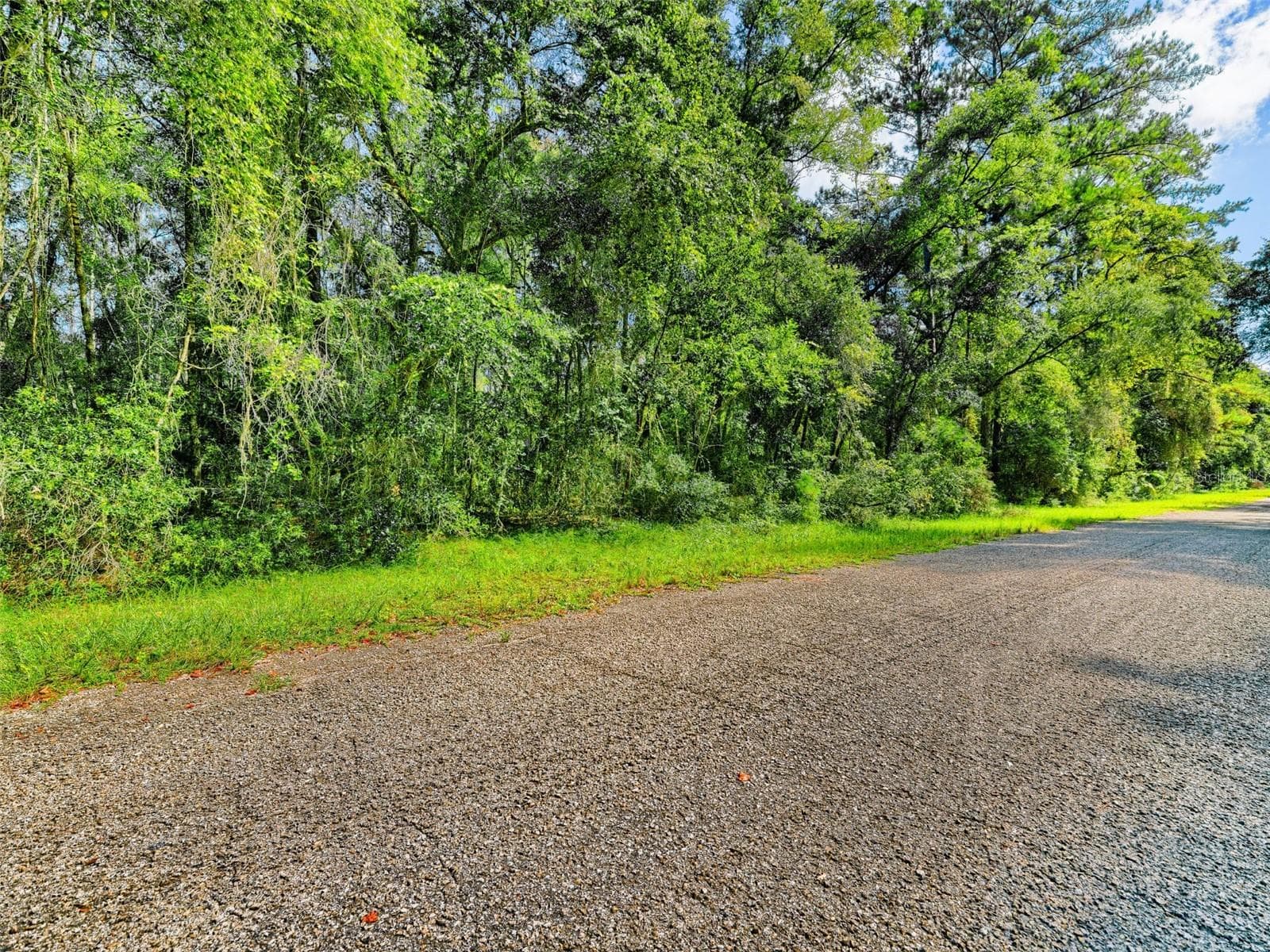 Land at 1163 E ODIN DR, CITRUS SPRINGS, photo 14 of 14