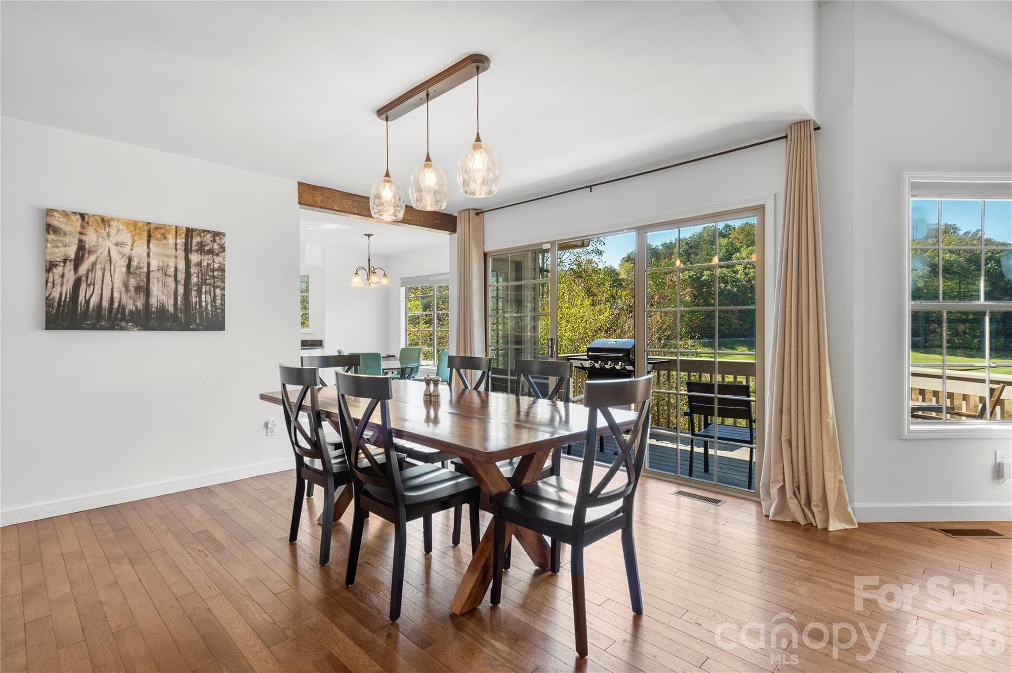Single Family Residence at 108 June Court, Lake Lure, photo 4 of 47