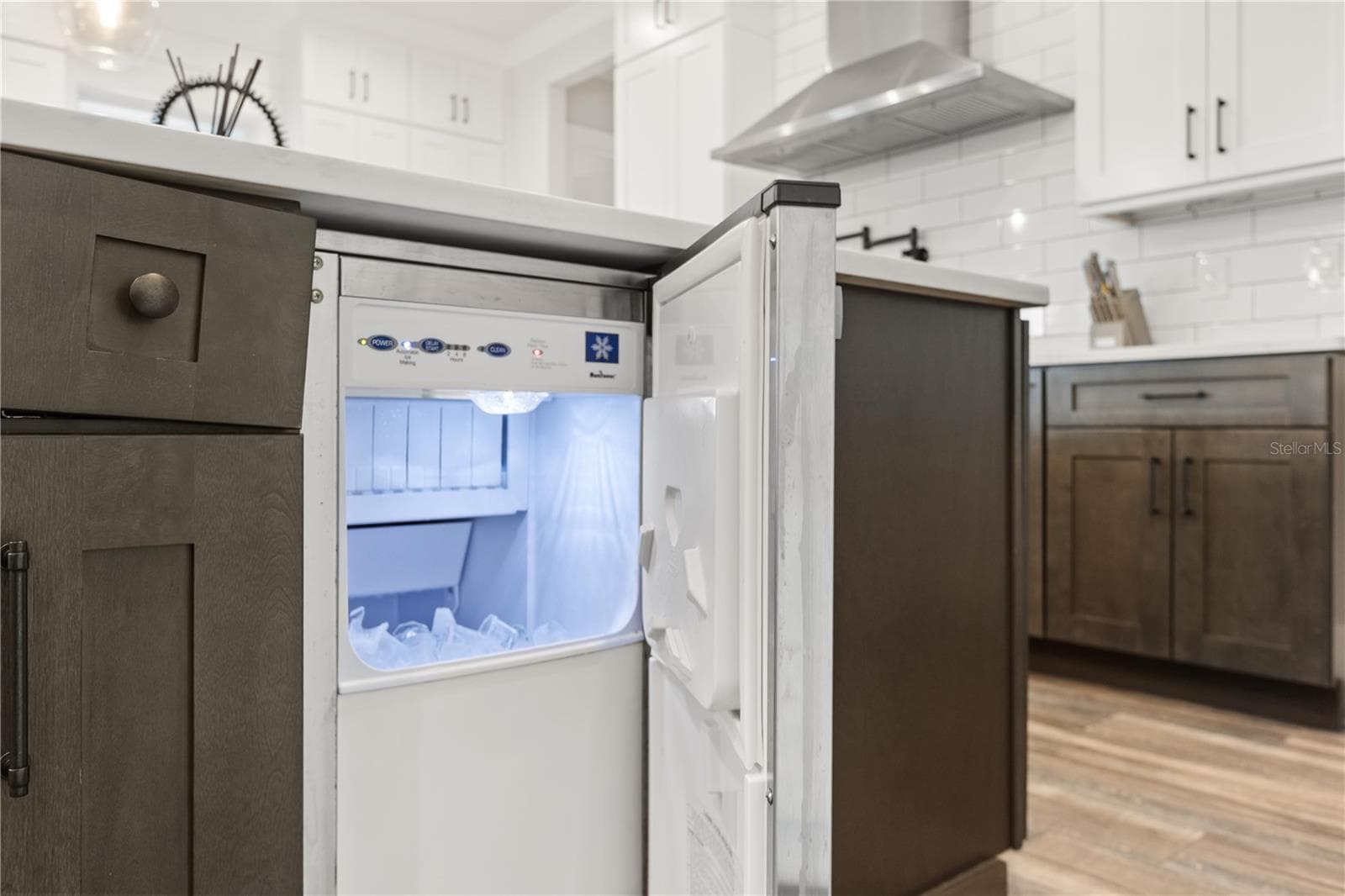 DEDICATED ICE MAKERA built-in under-counter ice maker adds another practical convenience for everyday living and entertaining. - 907 CELADON ST, WINTER GARDEN