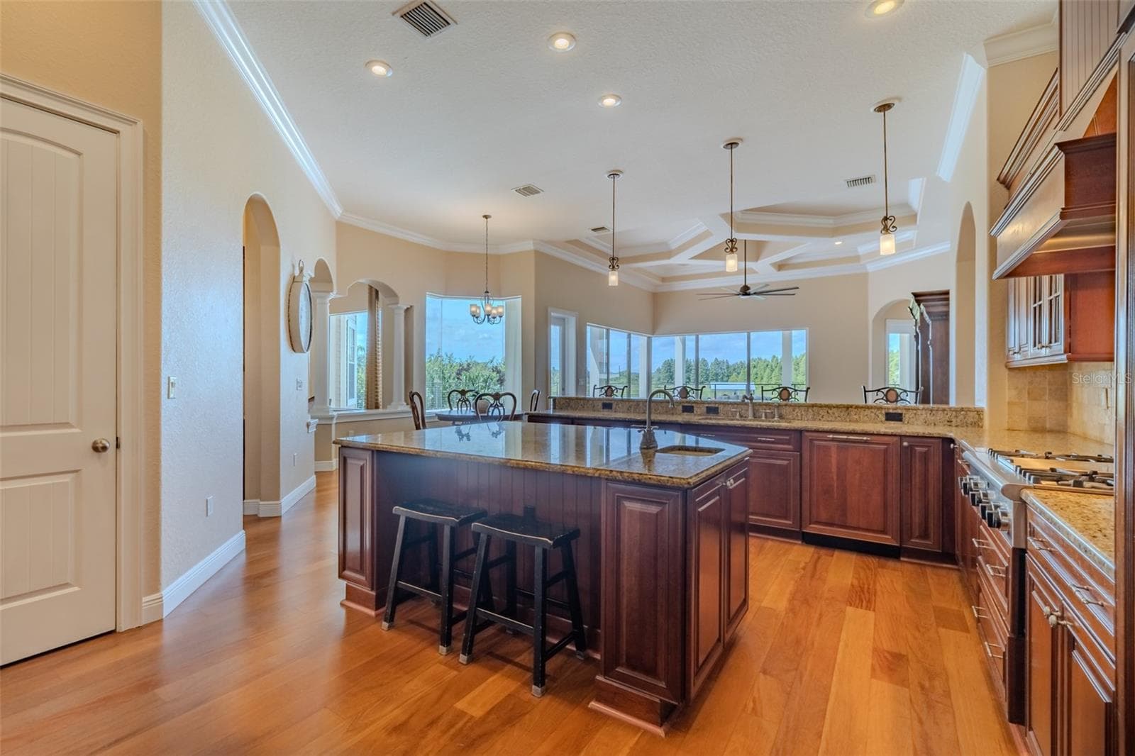 Single Family Residence at 10501 BROADLAND PASS, THONOTOSASSA, photo 13 of 98