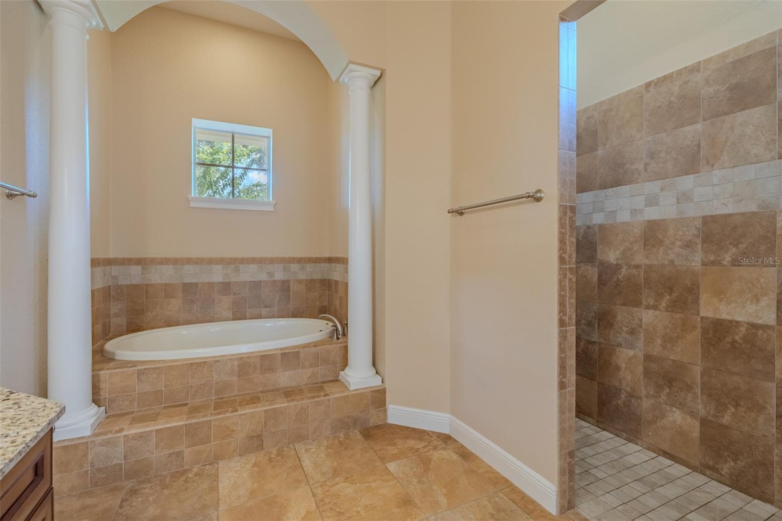 Single Family Residence at 10501 BROADLAND PASS, THONOTOSASSA, photo 41 of 98
