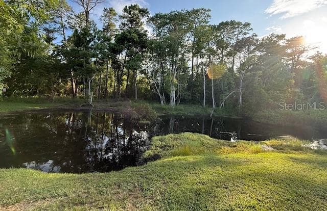 Conservation area/pond - 322 N SHADOWBAY BLVD, LONGWOOD