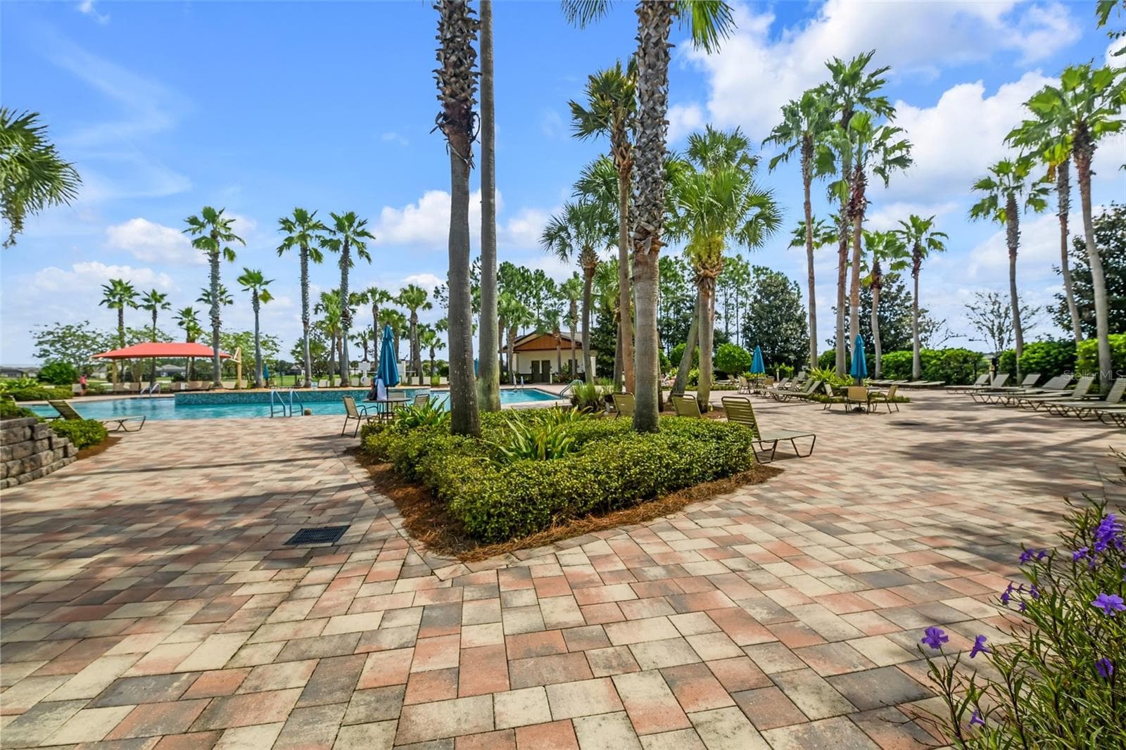 Main pool complex - 5995 SW 93RD CIR, OCALA