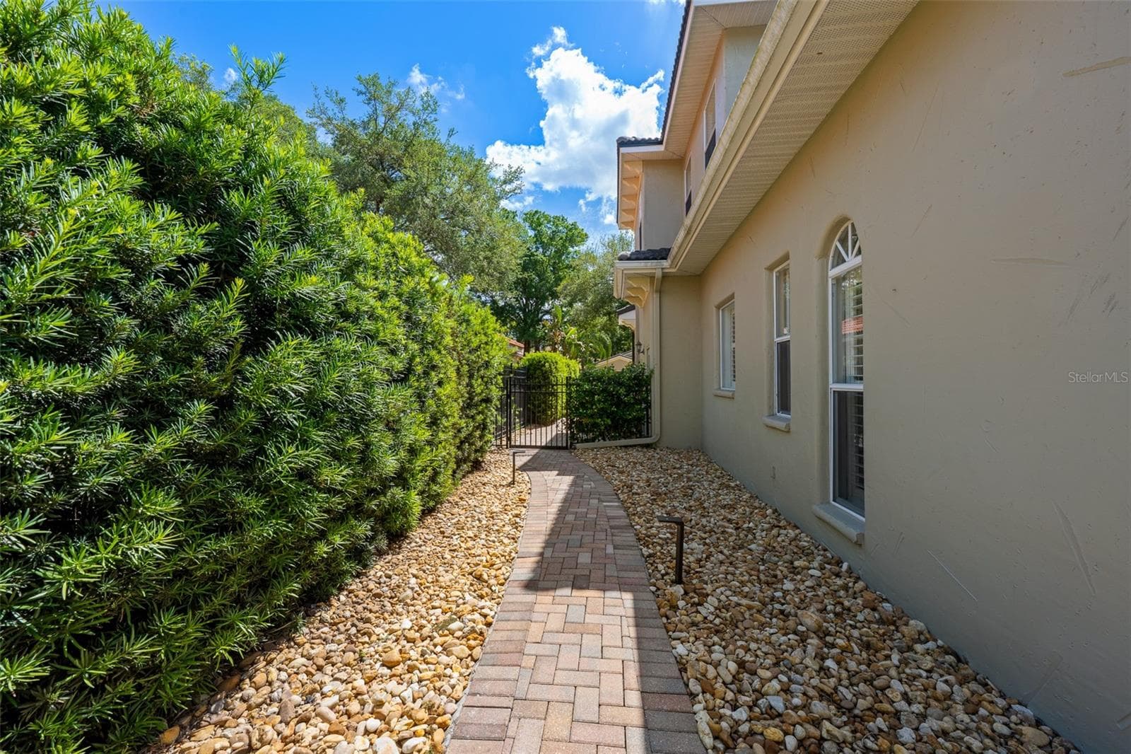 Paver walkway with river rock border and privacy hedge. - 1921 FLORESTA VIEW DR, TAMPA