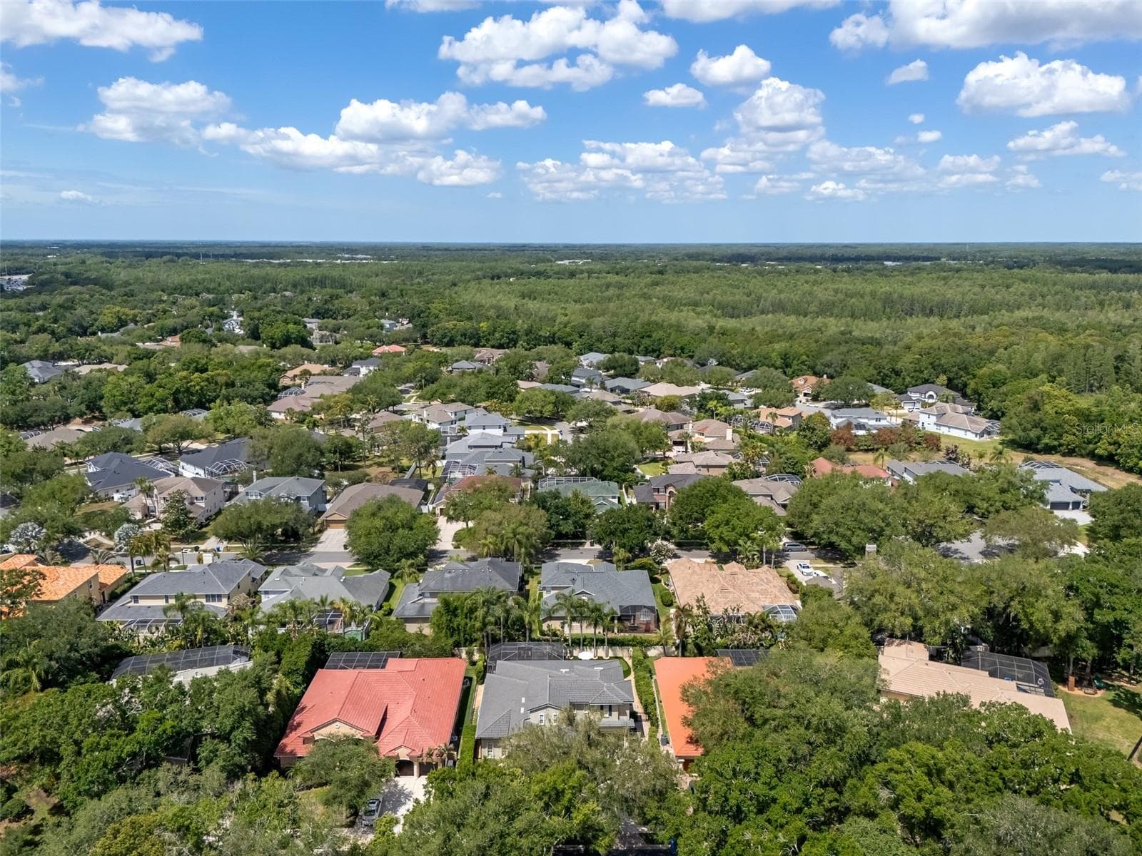 Single Family Residence at 1921 FLORESTA VIEW DR, TAMPA, photo 82 of 85