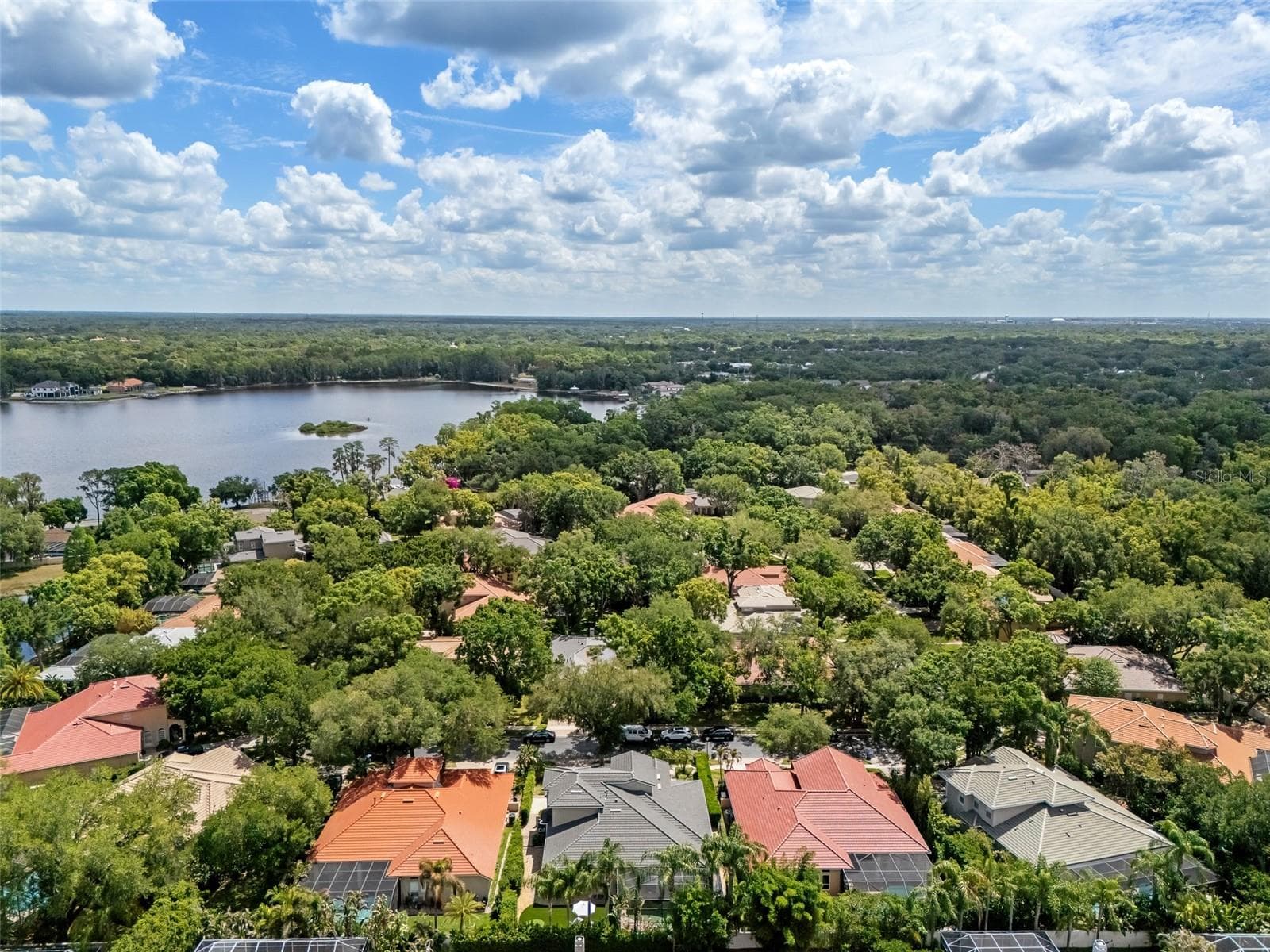 Single Family Residence at 1921 FLORESTA VIEW DR, TAMPA, photo 85 of 85