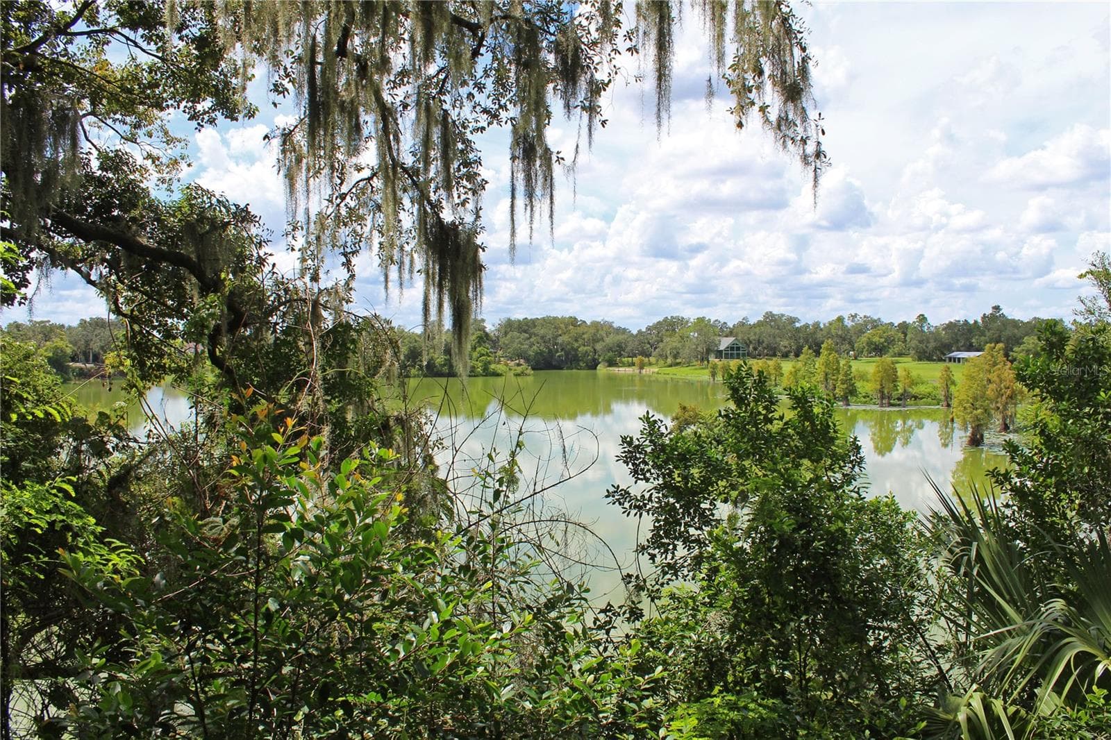 Lake view - 850 HANOVER WAY, LAKELAND