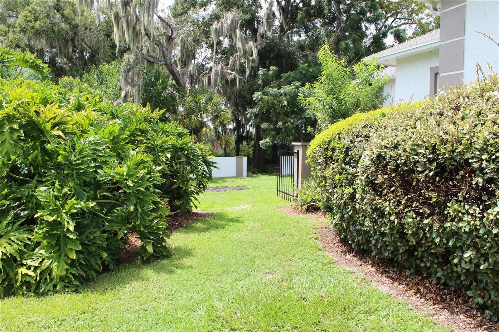 Left side yard - 850 HANOVER WAY, LAKELAND
