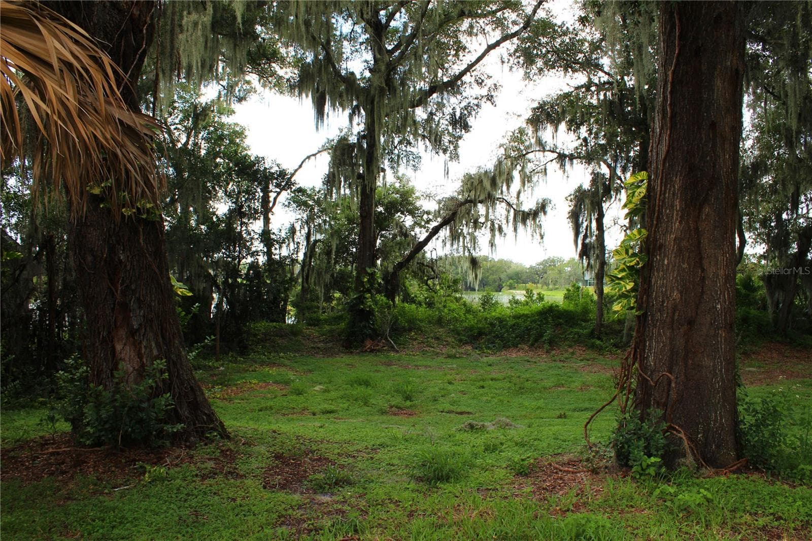 Back yard behind wall - 850 HANOVER WAY, LAKELAND