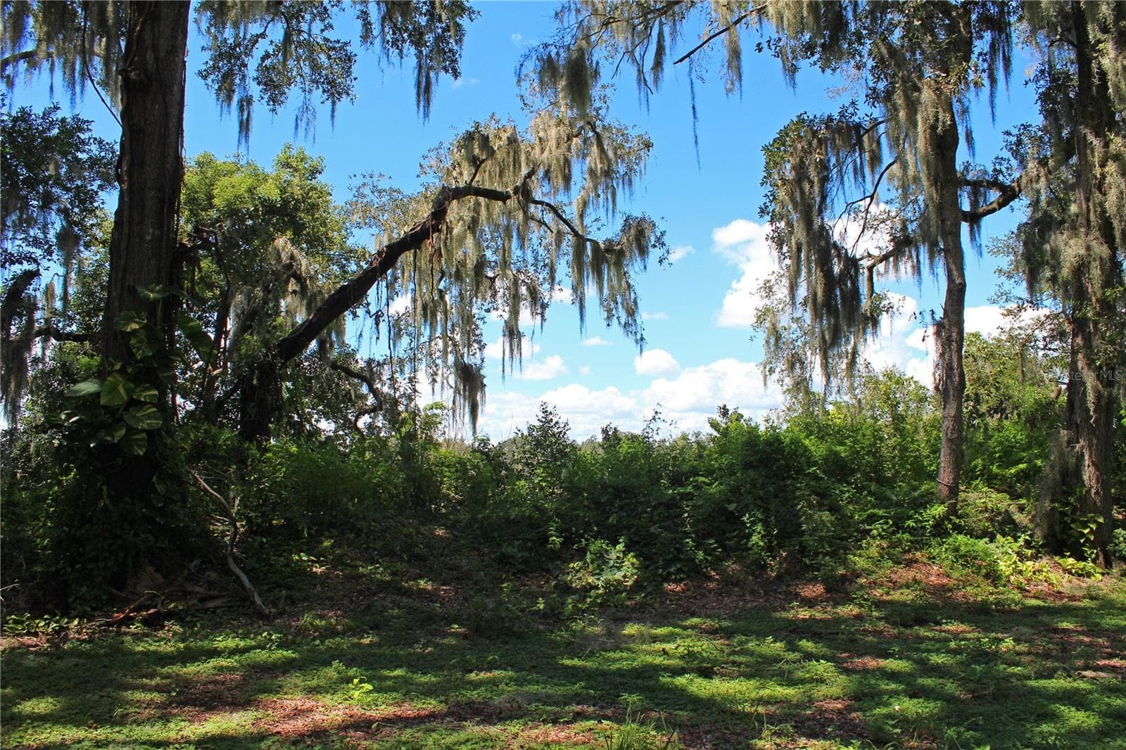 Back yard behind wall - 850 HANOVER WAY, LAKELAND