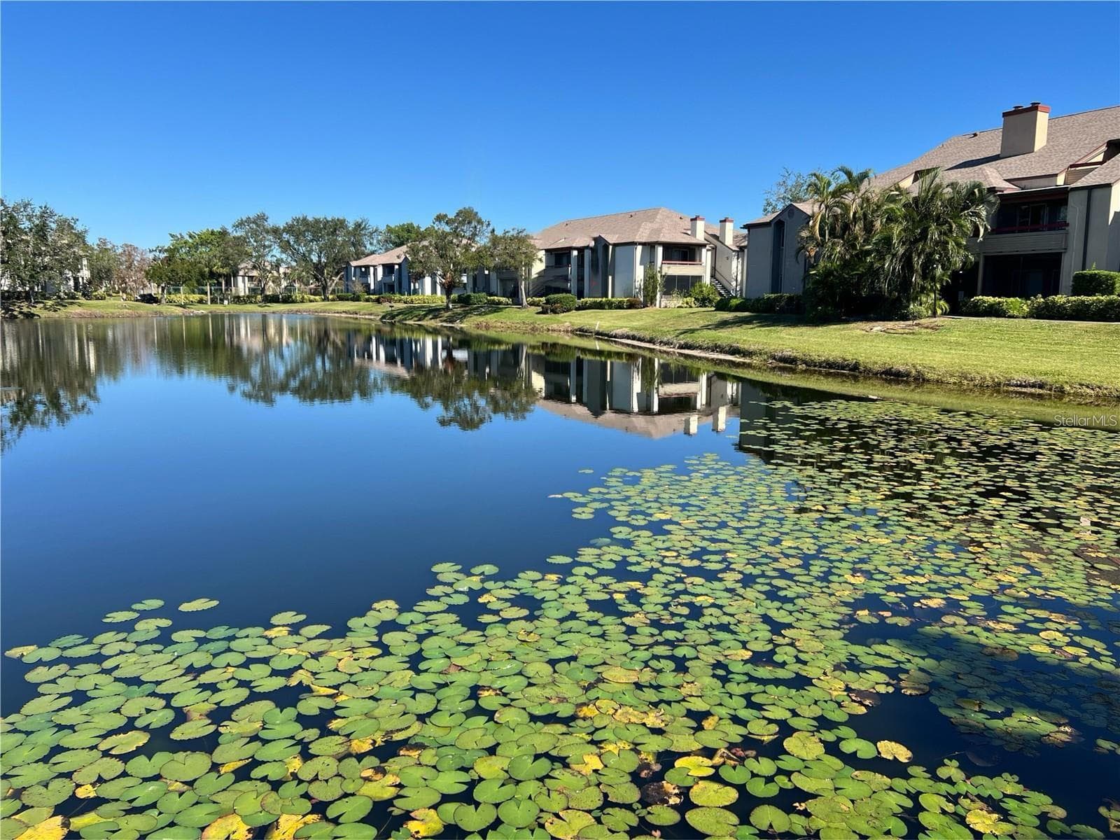 Condominium at 10263 GANDY BLVD N #311, ST PETERSBURG, photo 24 of 43
