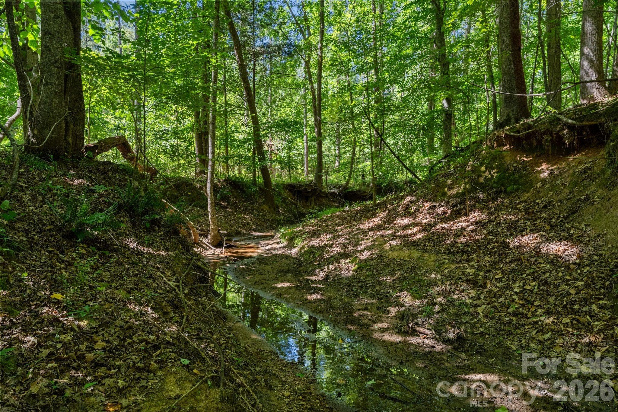 hardwoods and creek bottom - 000 Peacehaven Road, McConnells
