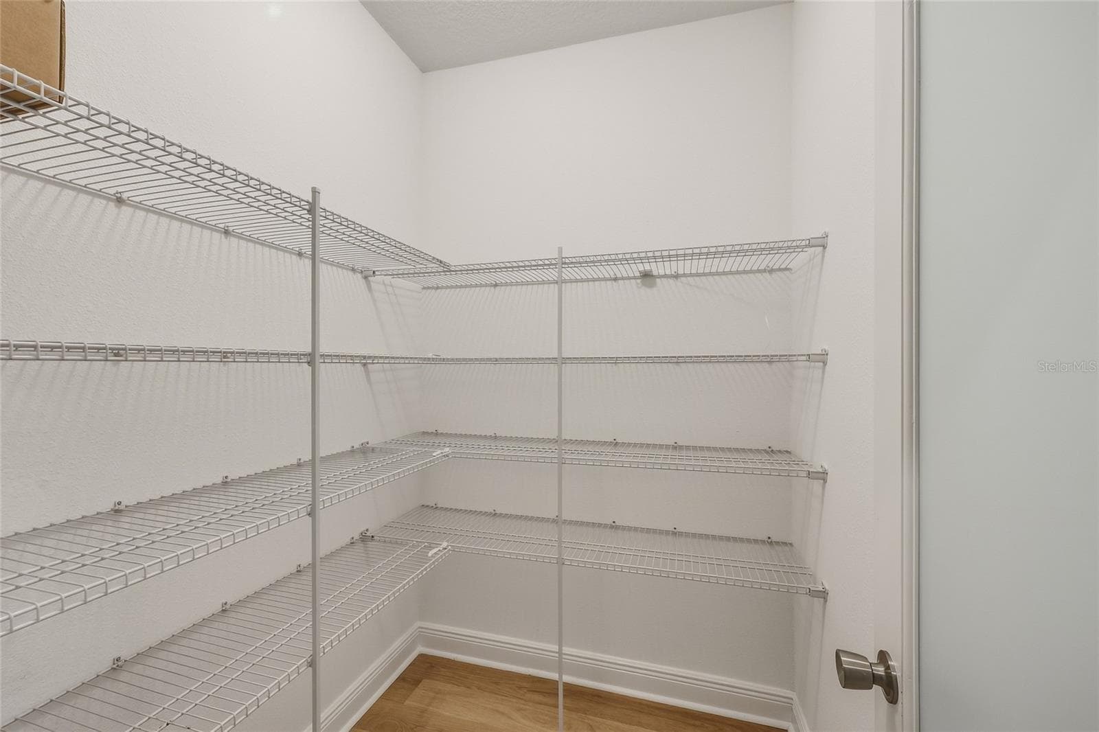 Walk in Pantry with ample storage space - 10702 PLEASANT KNOLL DR, TAMPA