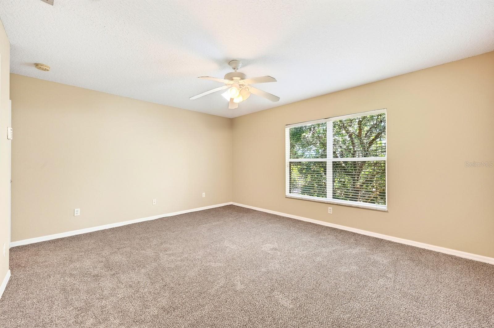 Primary Suite. - 4559 LACEBARK TRL, OVIEDO