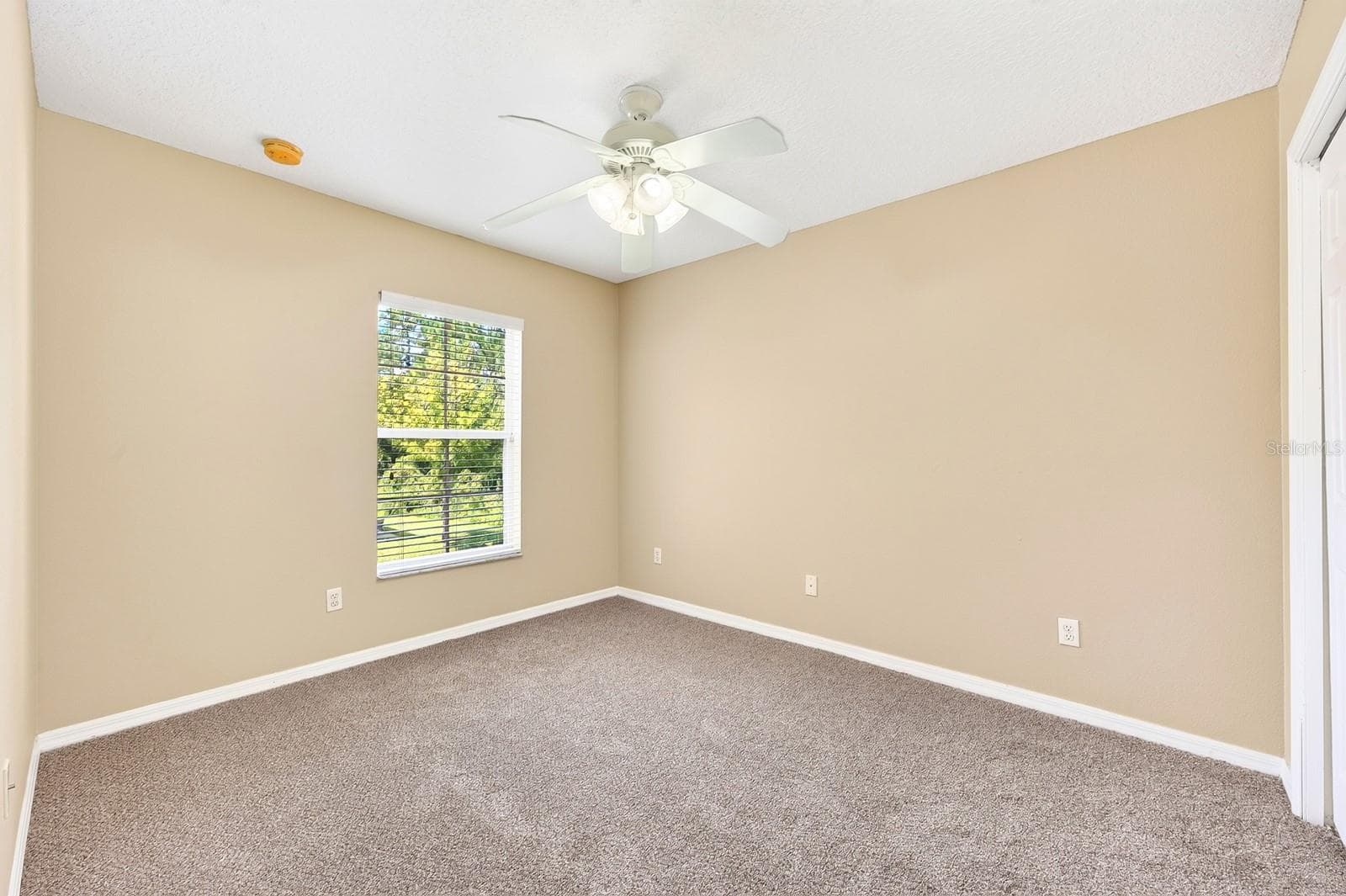 Second Bedroom. - 4559 LACEBARK TRL, OVIEDO