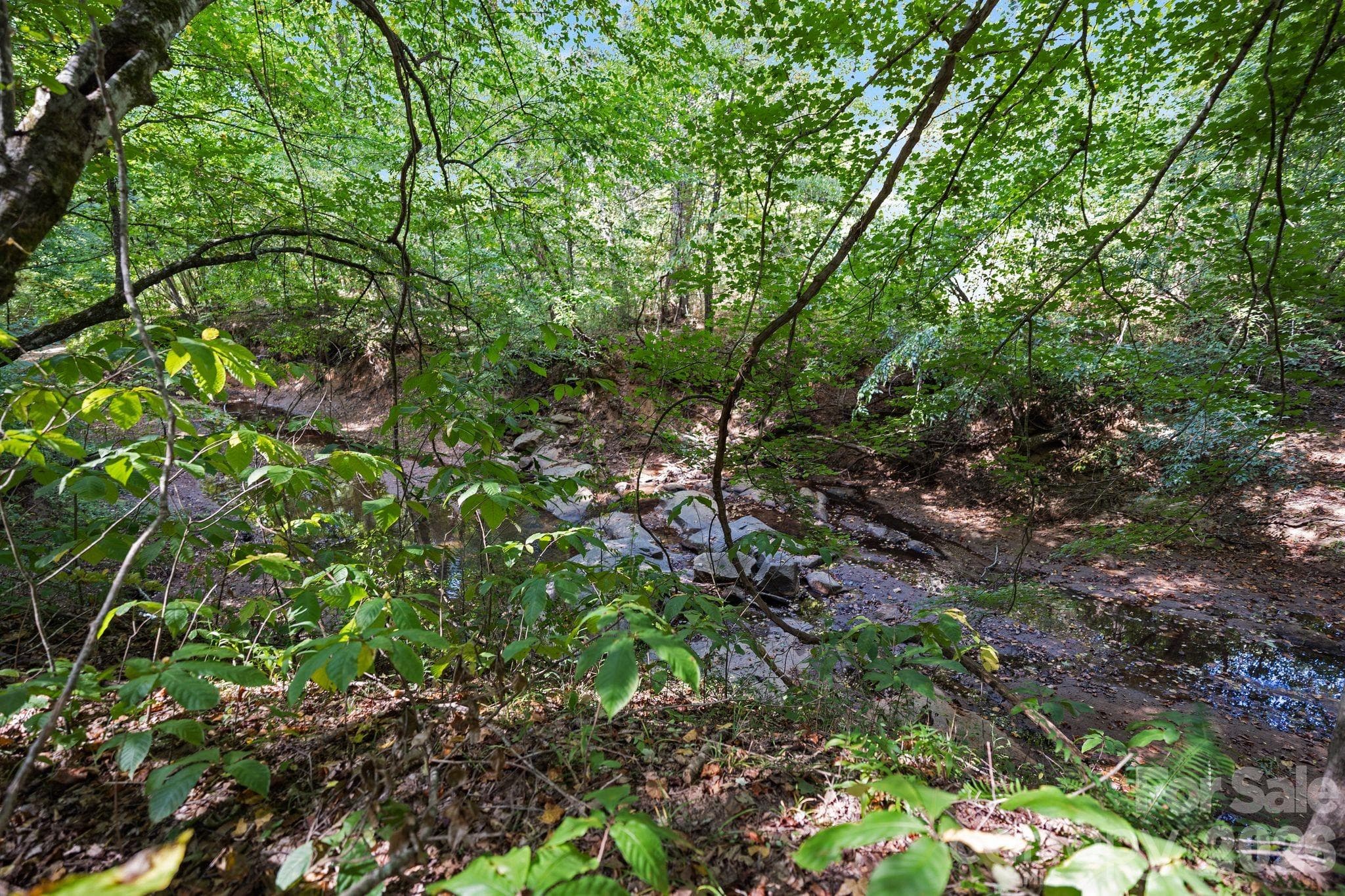 McClure's Branch creek - 630 Turkey Creek Ridge Road, York