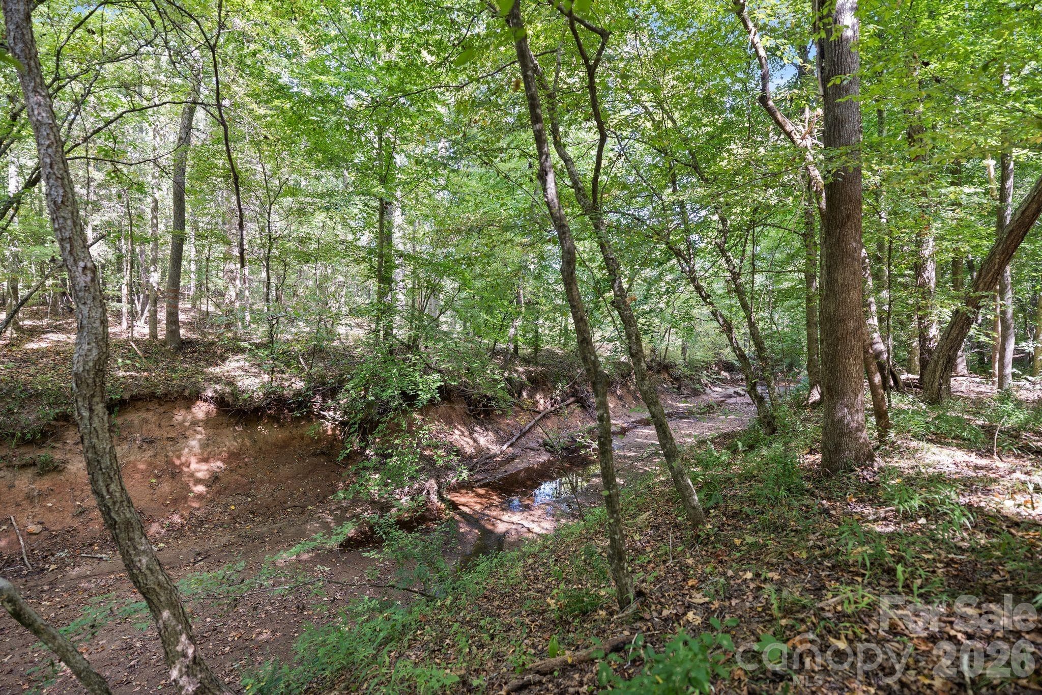 hardwoods - 630 Turkey Creek Ridge Road, York
