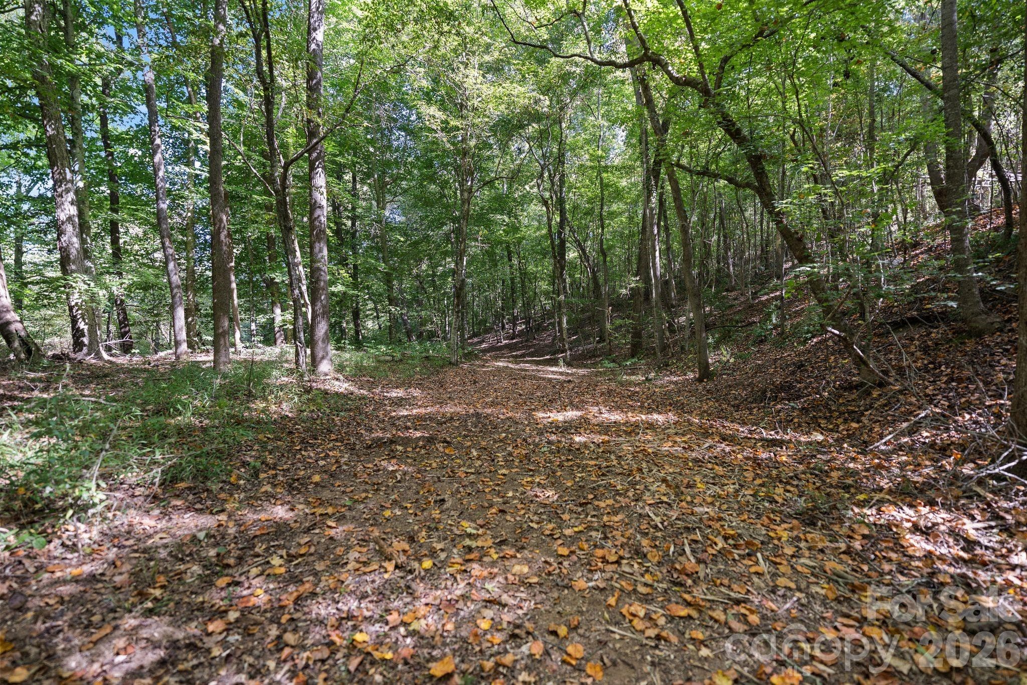 Acreage at 630 Turkey Creek Ridge Road, York, photo 9 of 46