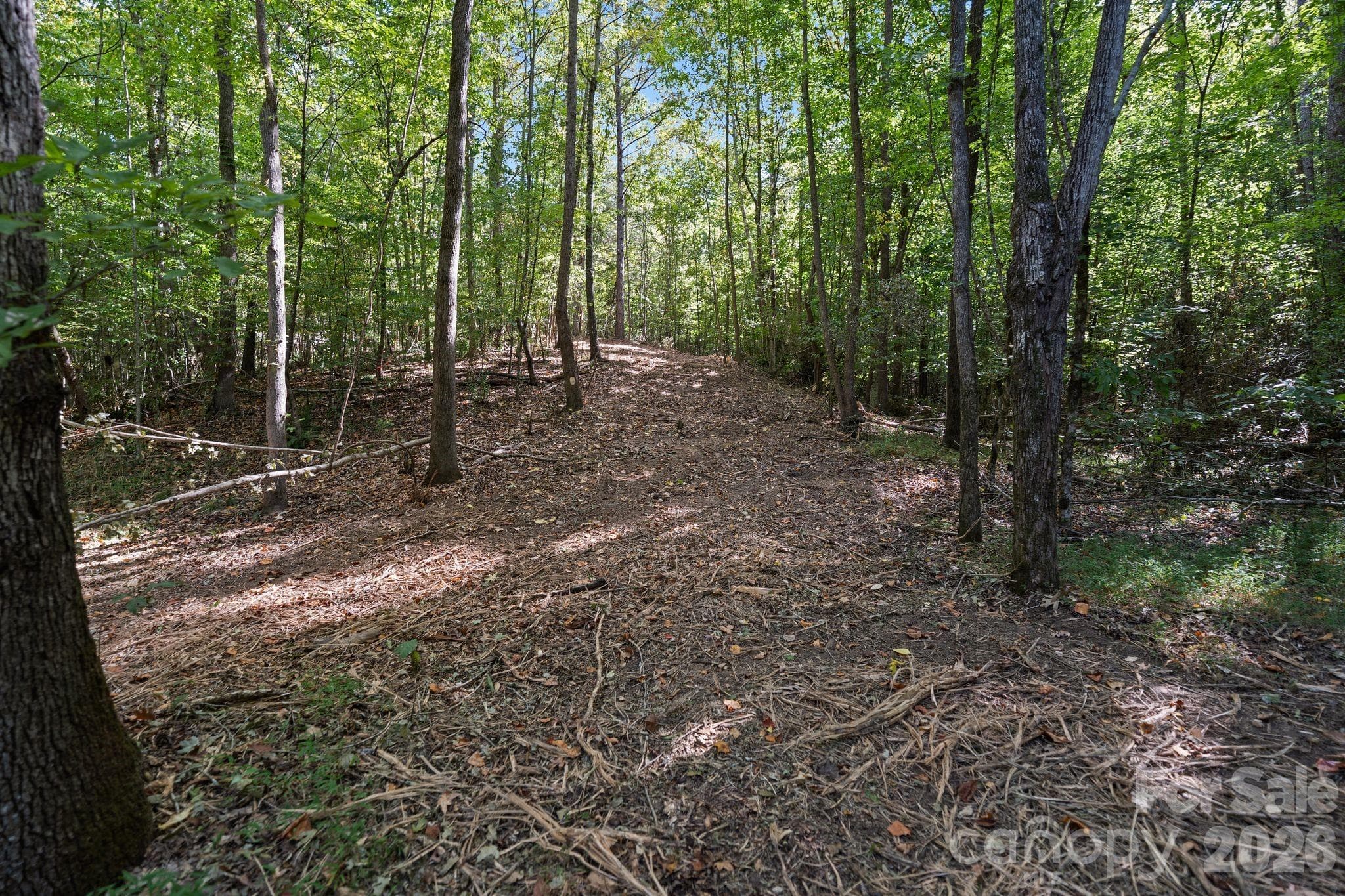 Acreage at 630 Turkey Creek Ridge Road, York, photo 10 of 46