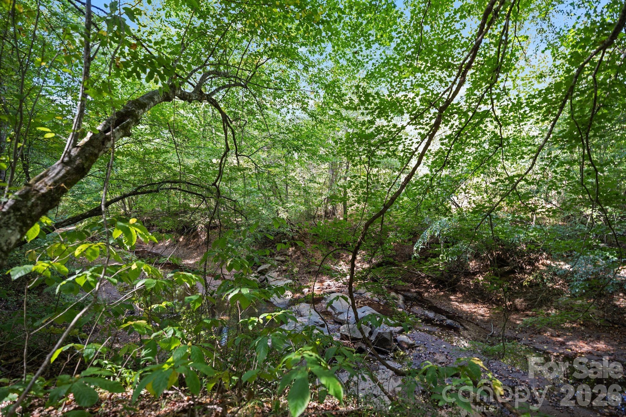 Acreage at 630 Turkey Creek Ridge Road, York, photo 12 of 46