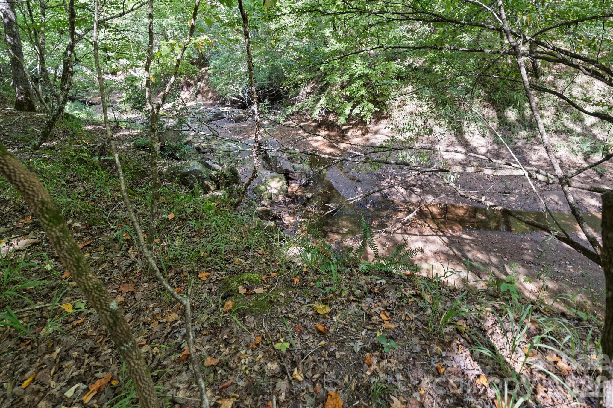 Acreage at 630 Turkey Creek Ridge Road, York, photo 13 of 46