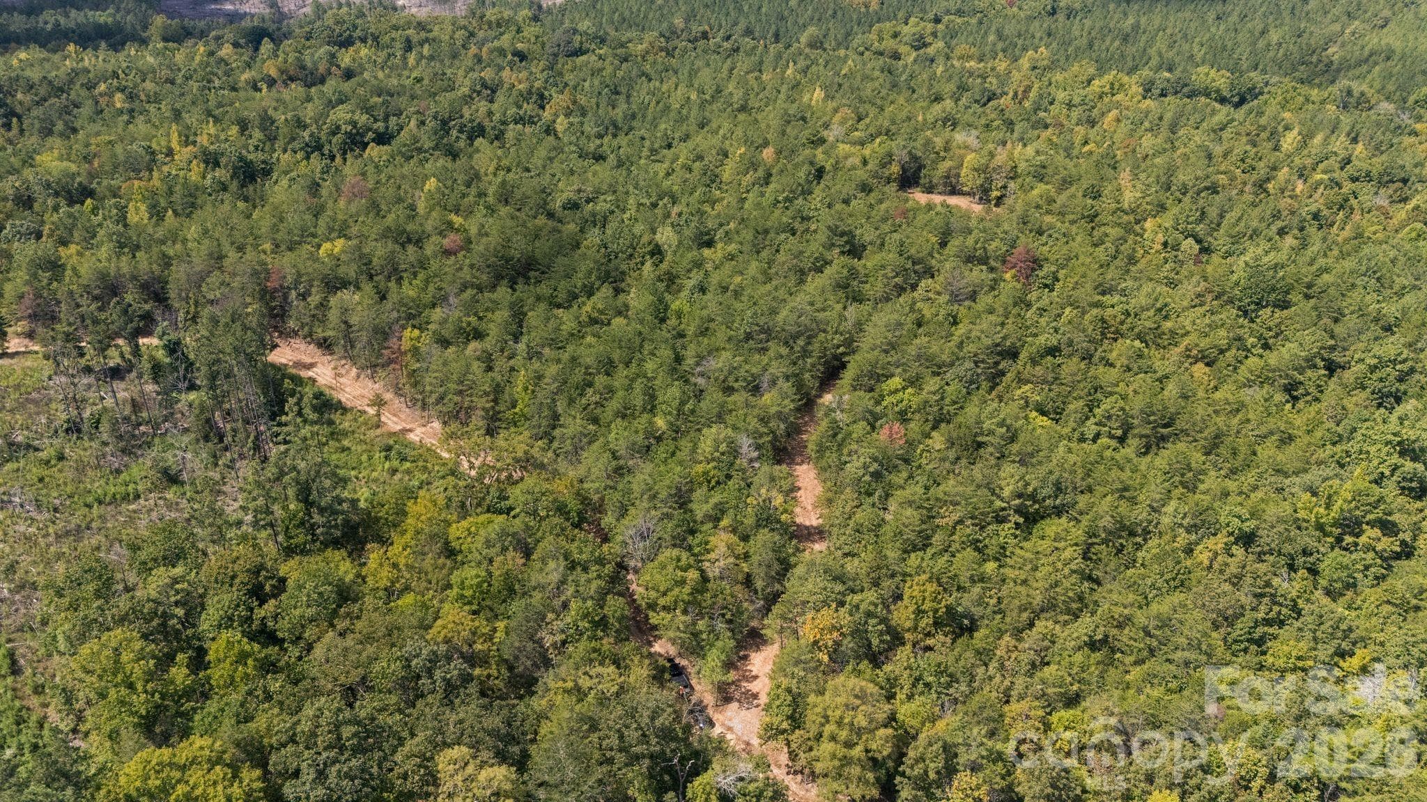 Acreage at 630 Turkey Creek Ridge Road, York, photo 15 of 46