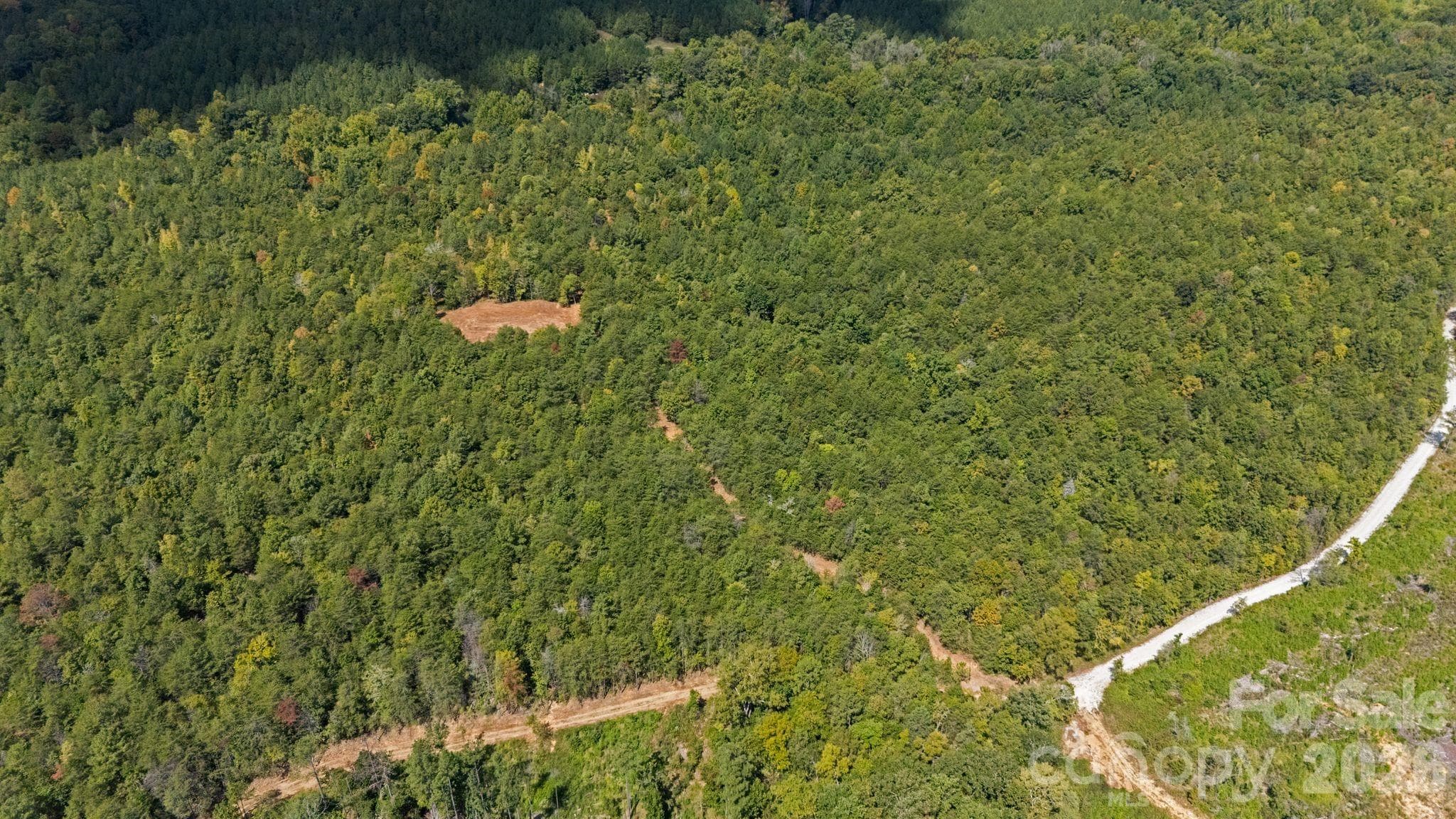 Acreage at 630 Turkey Creek Ridge Road, York, photo 20 of 46