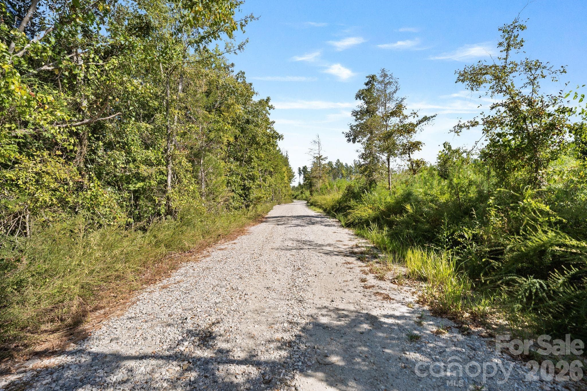 Acreage at 630 Turkey Creek Ridge Road, York, photo 25 of 46