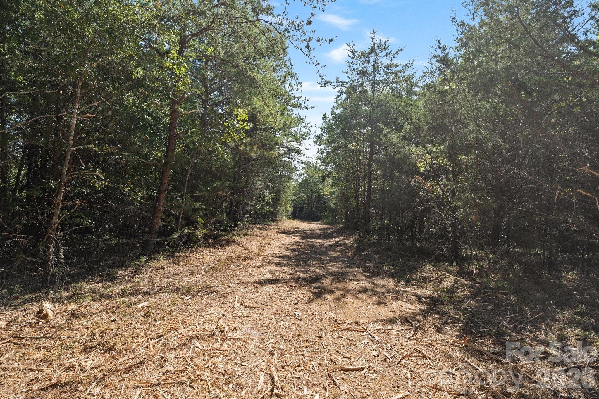 Acreage at 630 Turkey Creek Ridge Road, York, photo 26 of 46