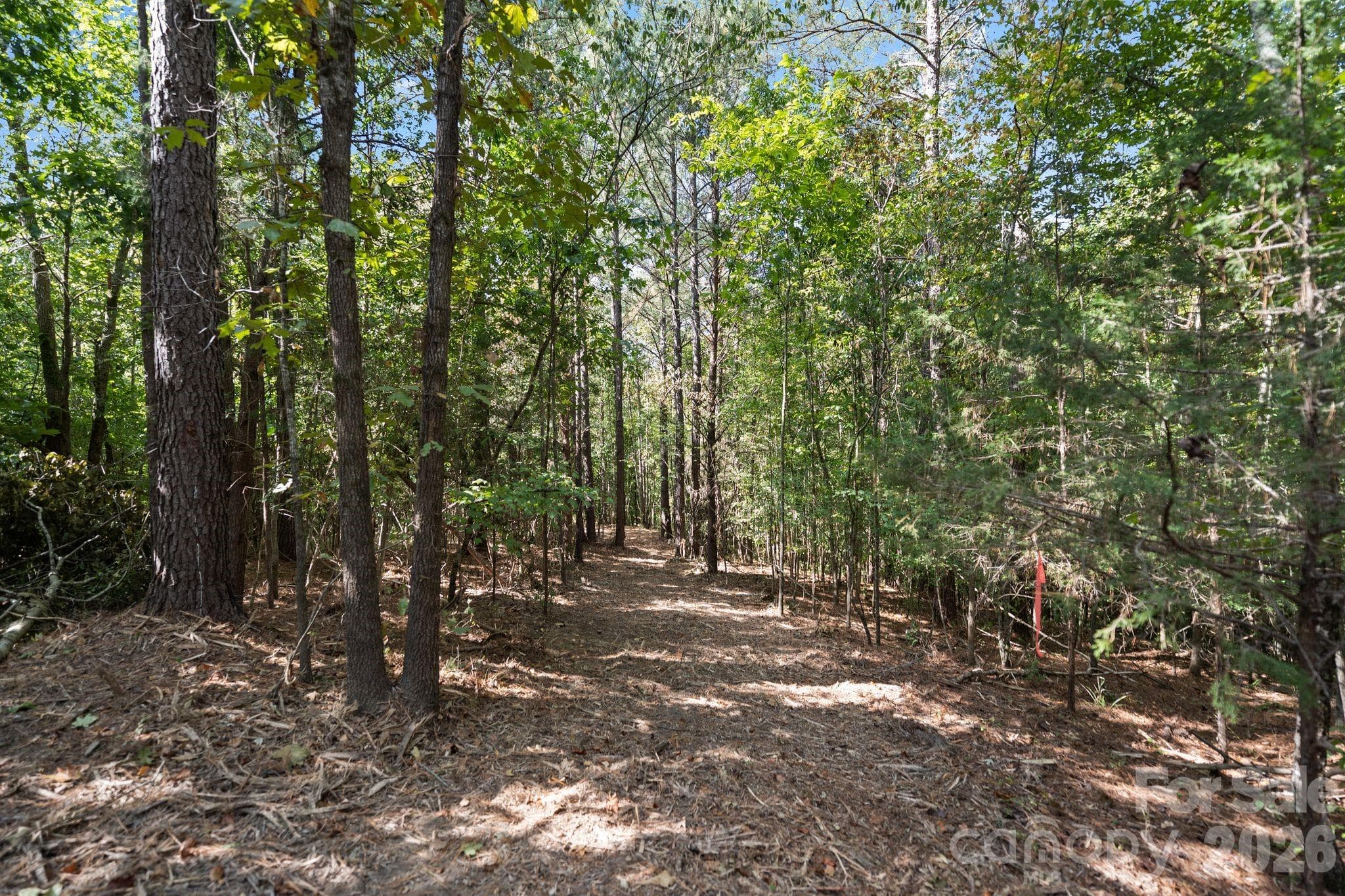 Acreage at 630 Turkey Creek Ridge Road, York, photo 32 of 46