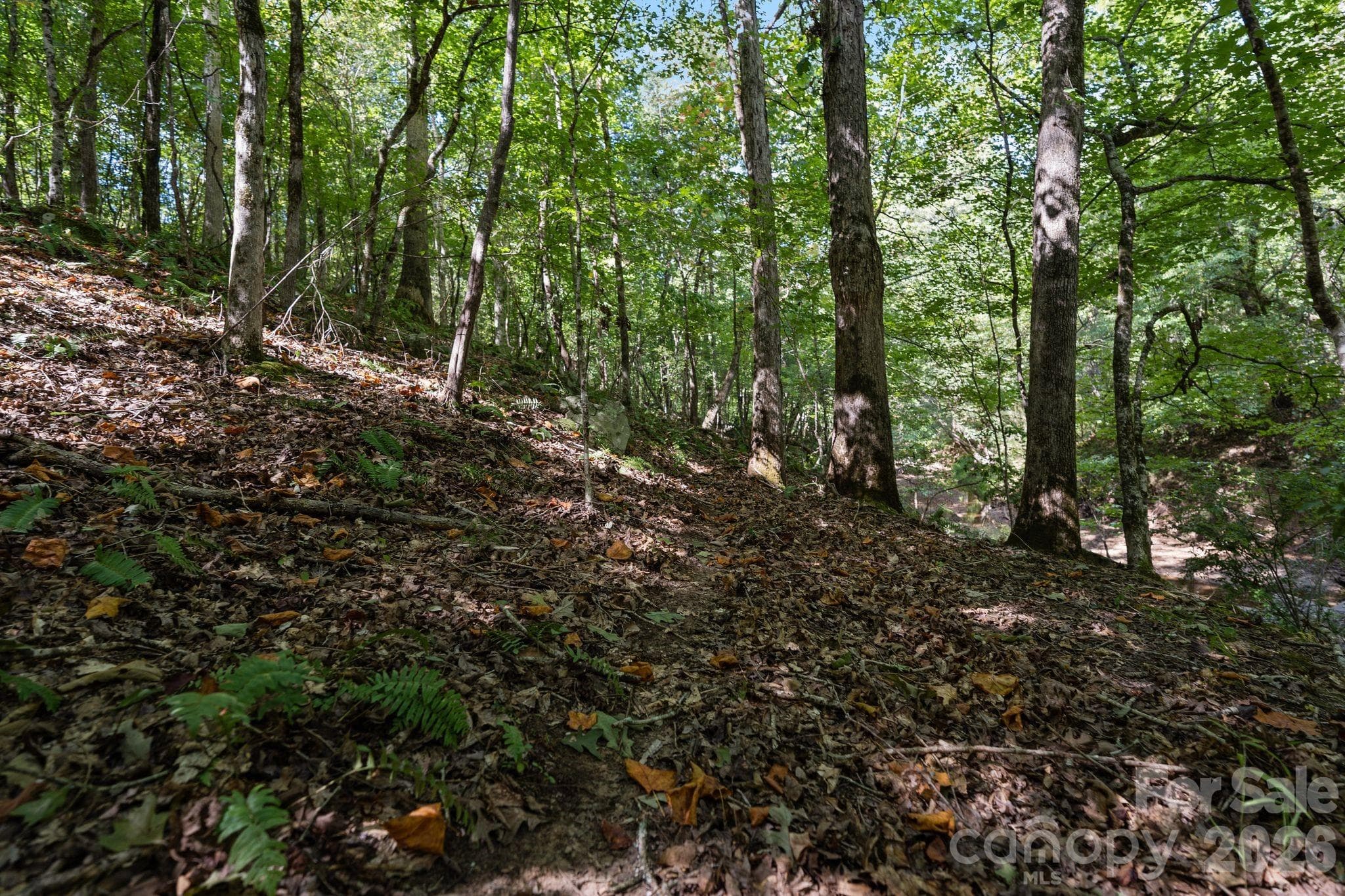 Acreage at 630 Turkey Creek Ridge Road, York, photo 37 of 46