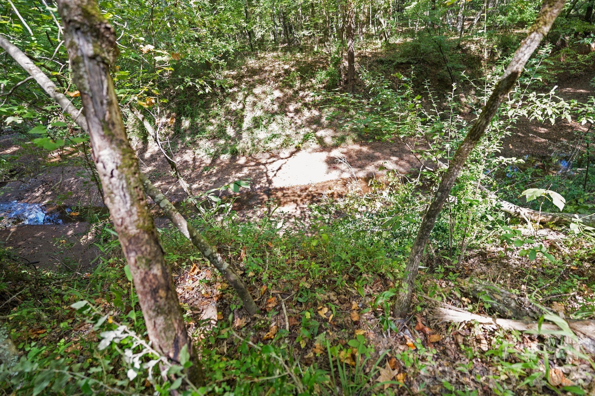 hardwoods and creek - 630 Turkey Creek Ridge Road, York