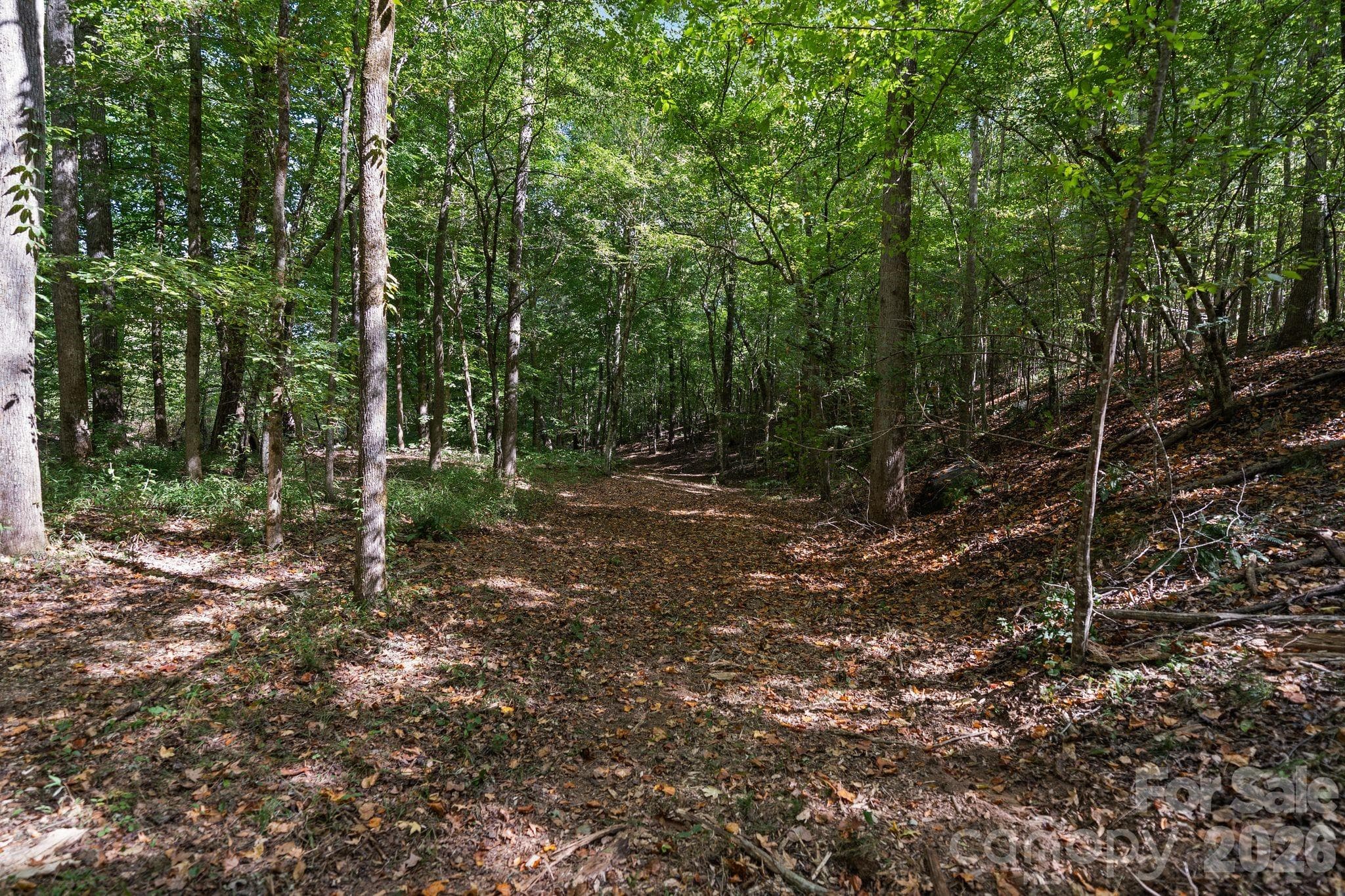 Acreage at 630 Turkey Creek Ridge Road, York, photo 41 of 46