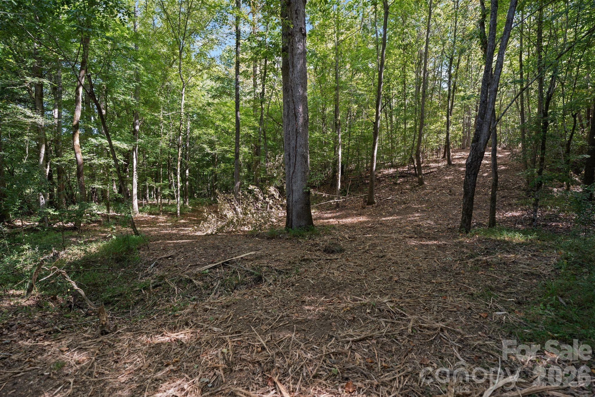 Acreage at 630 Turkey Creek Ridge Road, York, photo 44 of 46