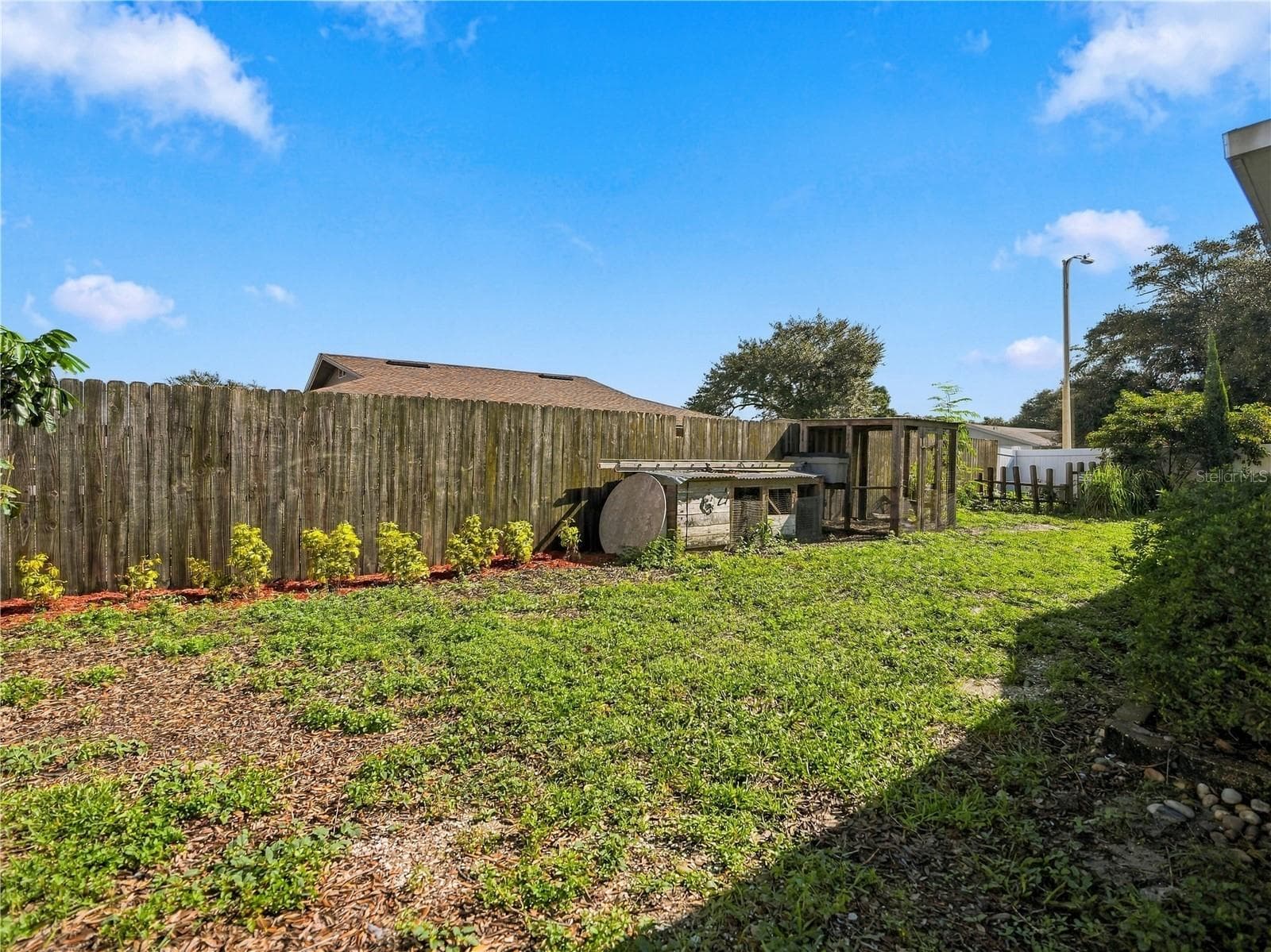 Enjoy Farm Fresh Eggs. - 6743 LARCHMONT AVE, NEW PORT RICHEY