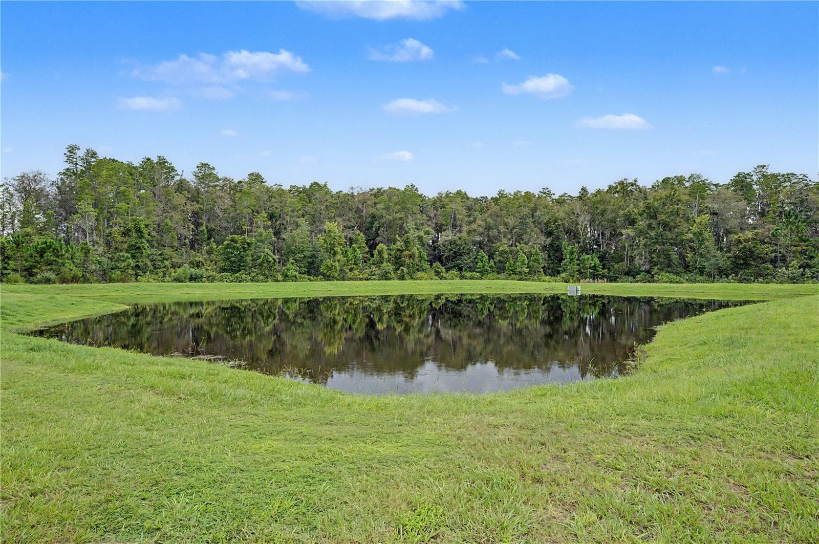 Pond Views - 10906 RUSTIC EVE CT, LAND O LAKES